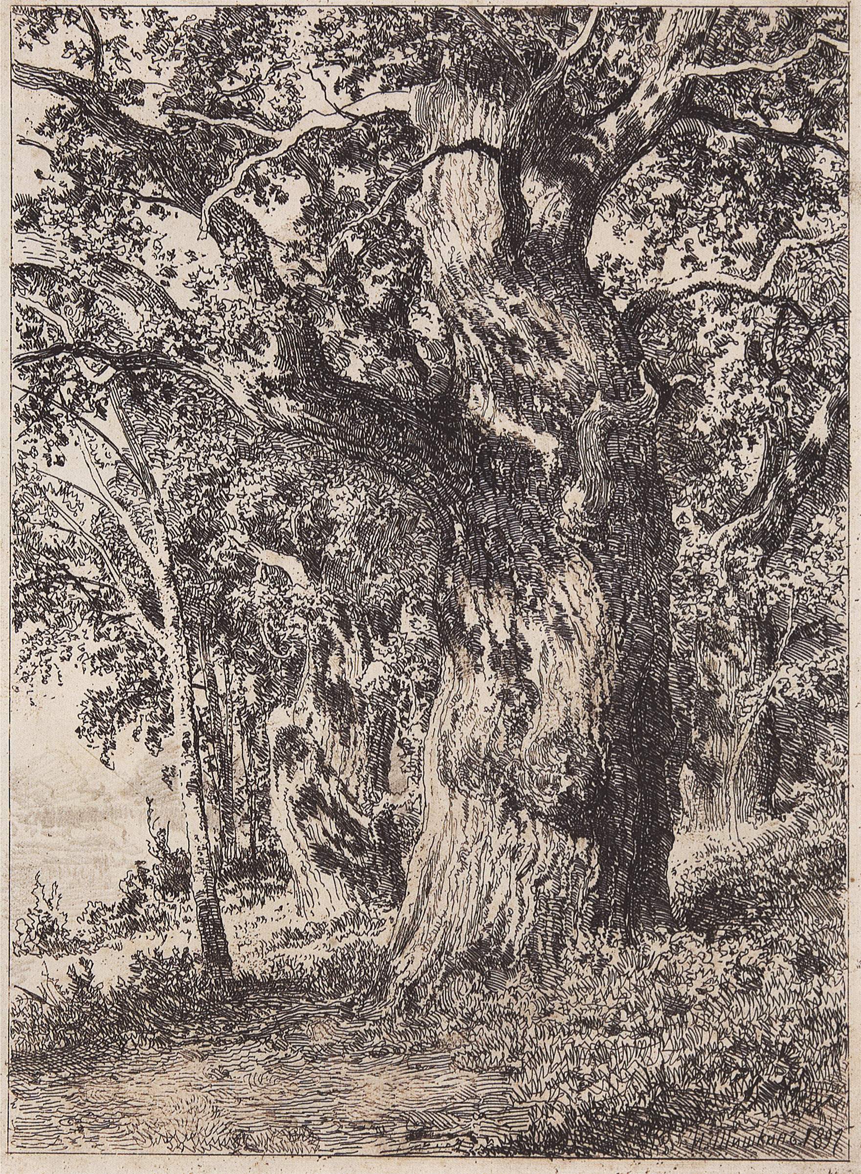 Шишкин. Старый дуб. 1897