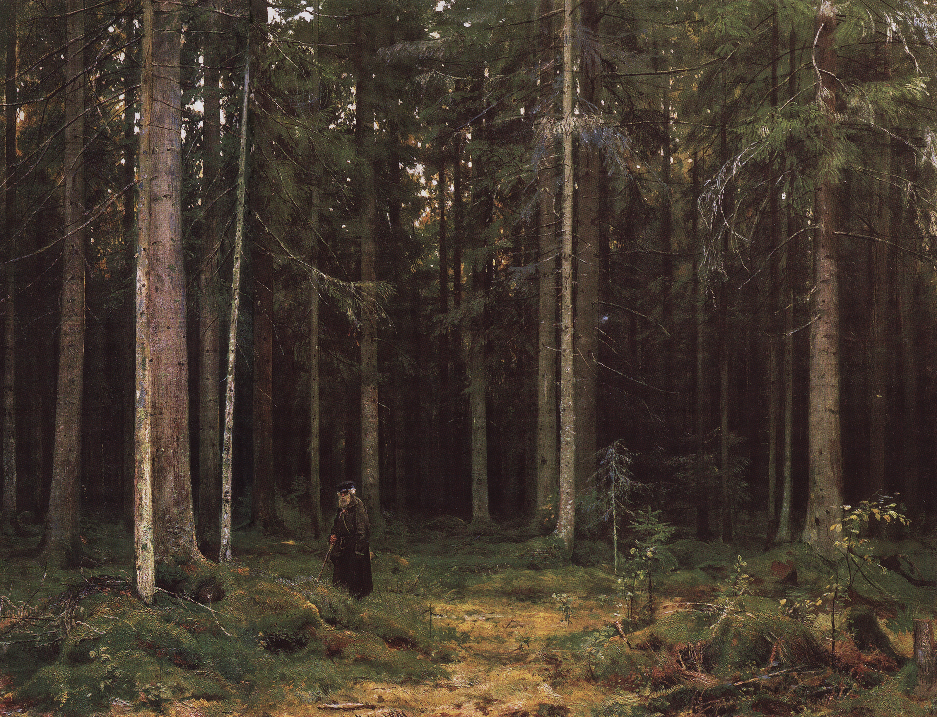 Шишкин. В лесу графини Мордвиновой. Петергоф. 1891