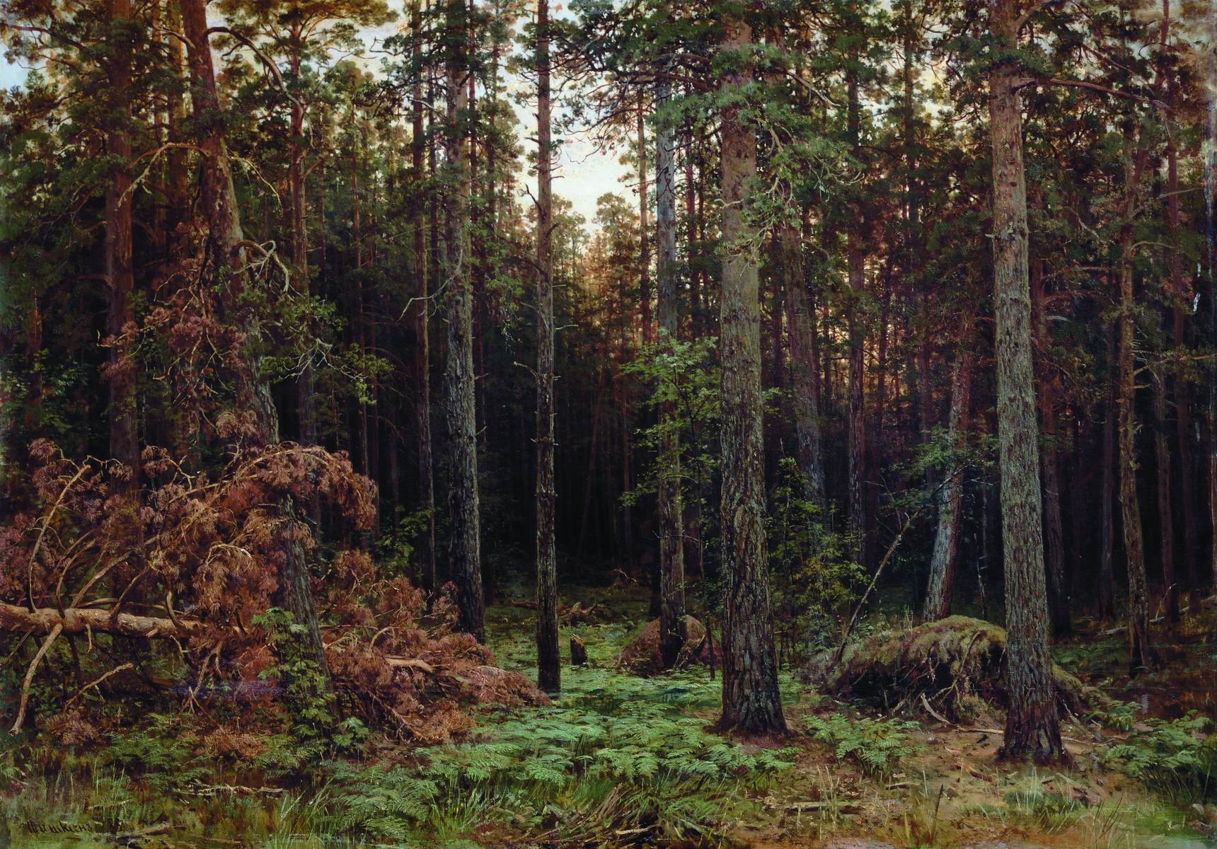 Шишкин. Сосновый лес. 1885