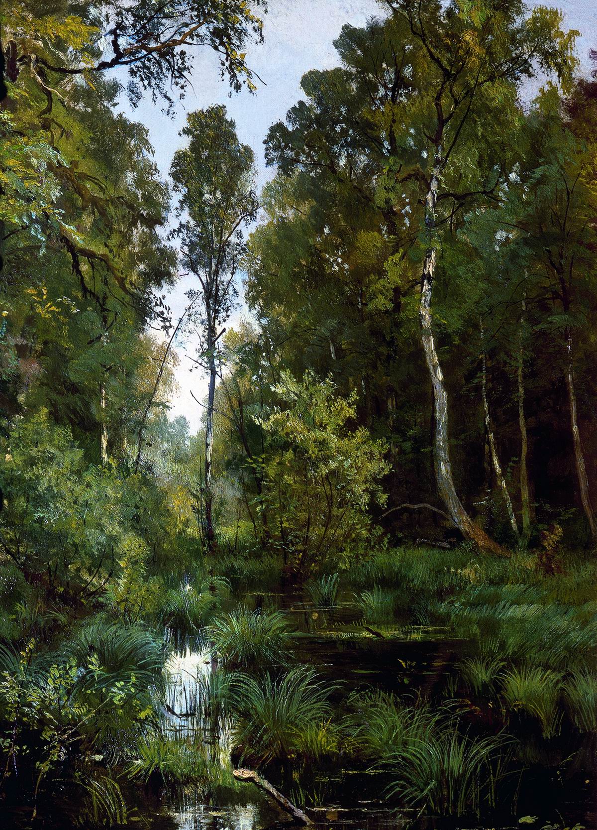 Шишкин. Заросший пруд у опушки леса. Сиверская. 1883