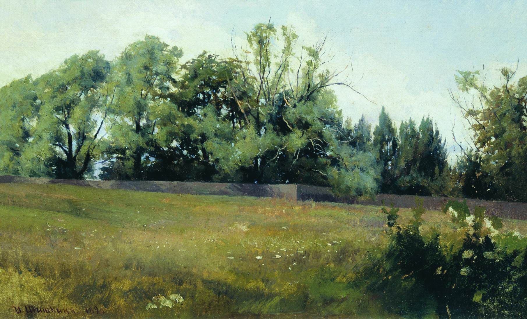 Шишкин. Пейзаж. 1898