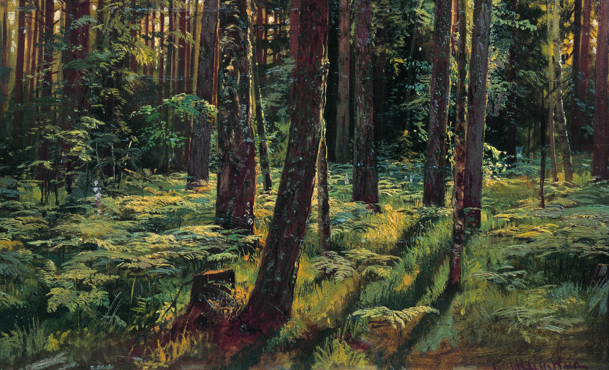 Шишкин. Папоротники в лесу. Сиверская. 1883