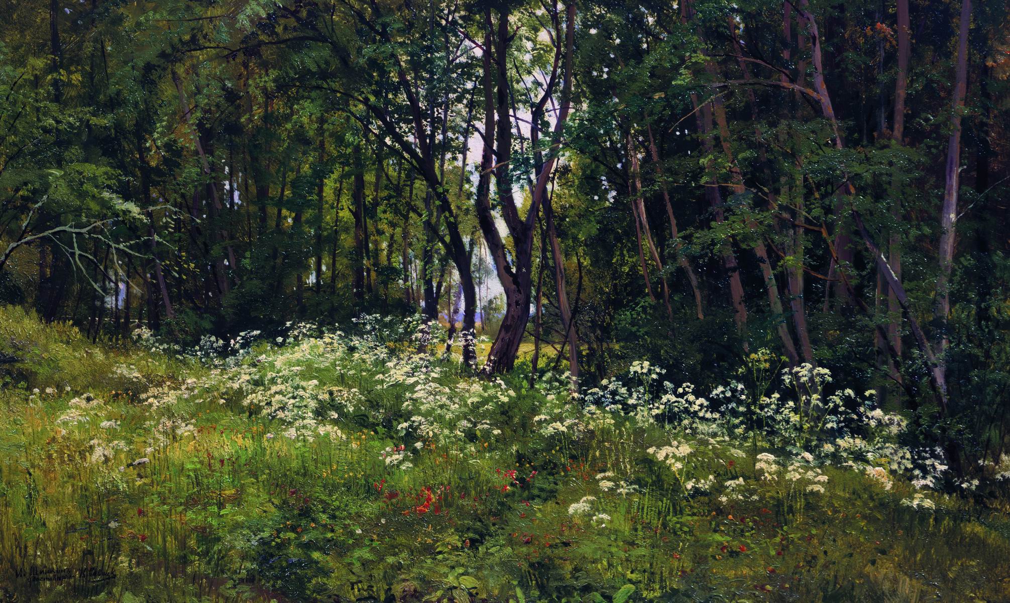 Шишкин. Цветы на опушке леса. 1893