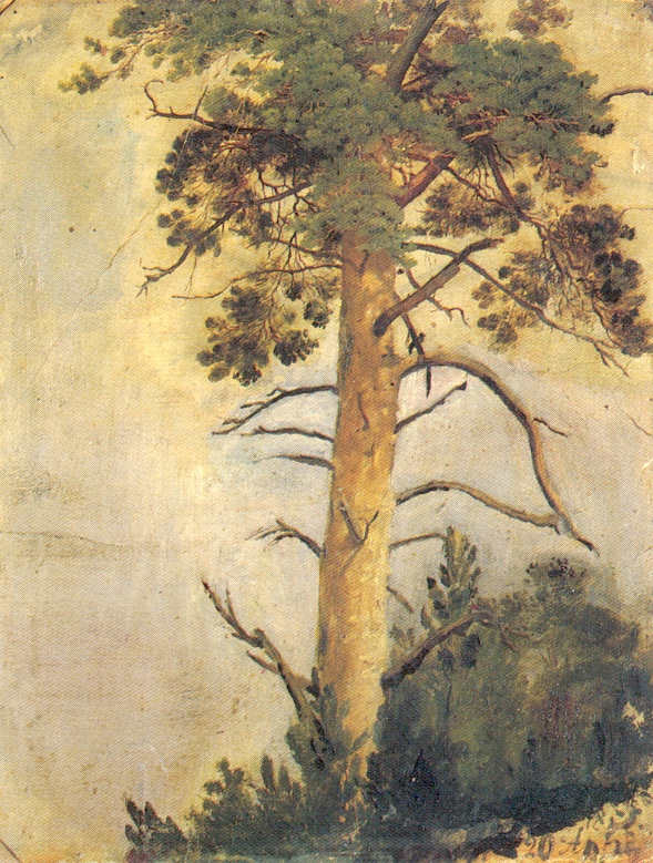 Шишкин. Сосна на скале. 1855