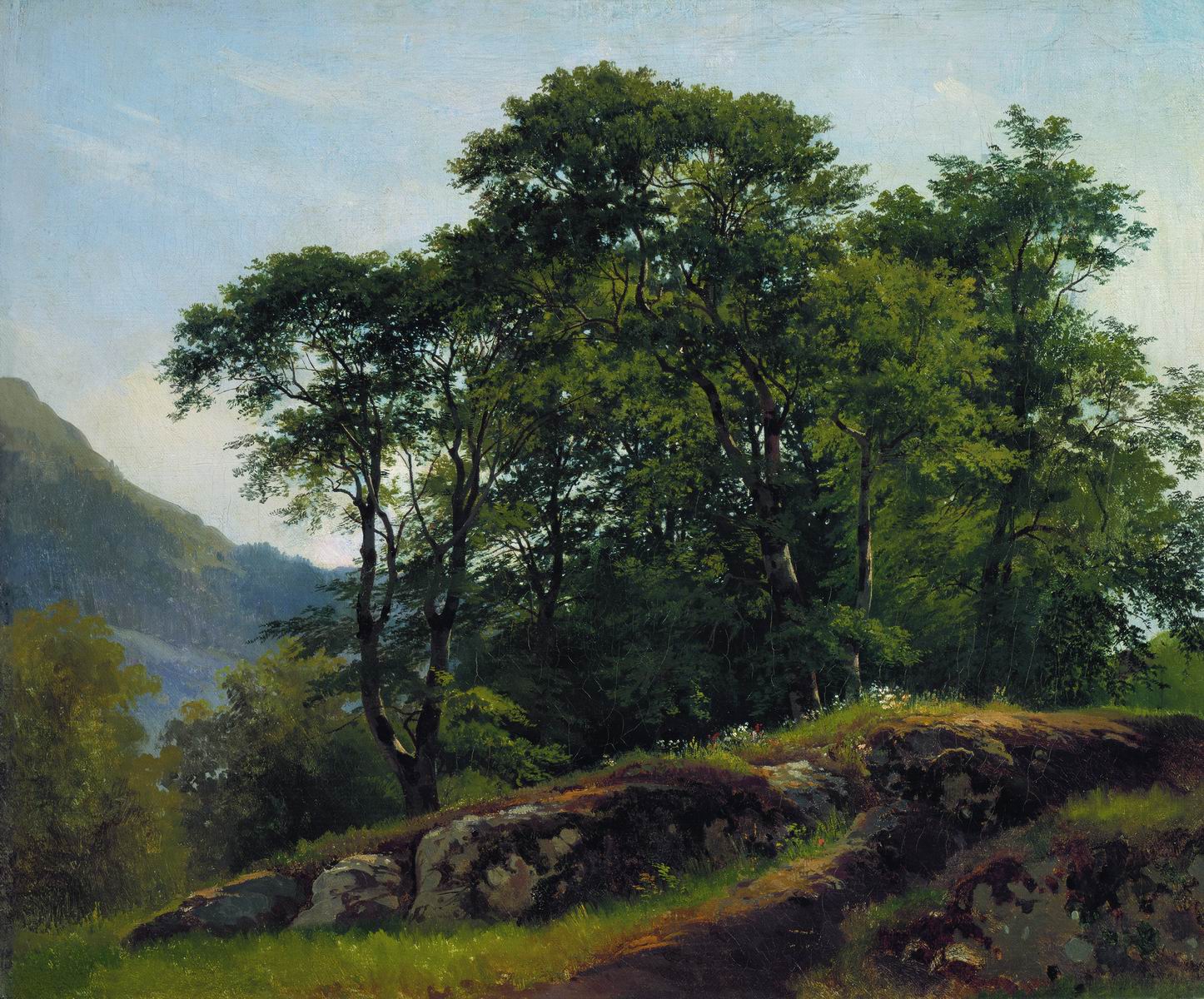 Шишкин. Буковый лес в Швейцарии. 1863