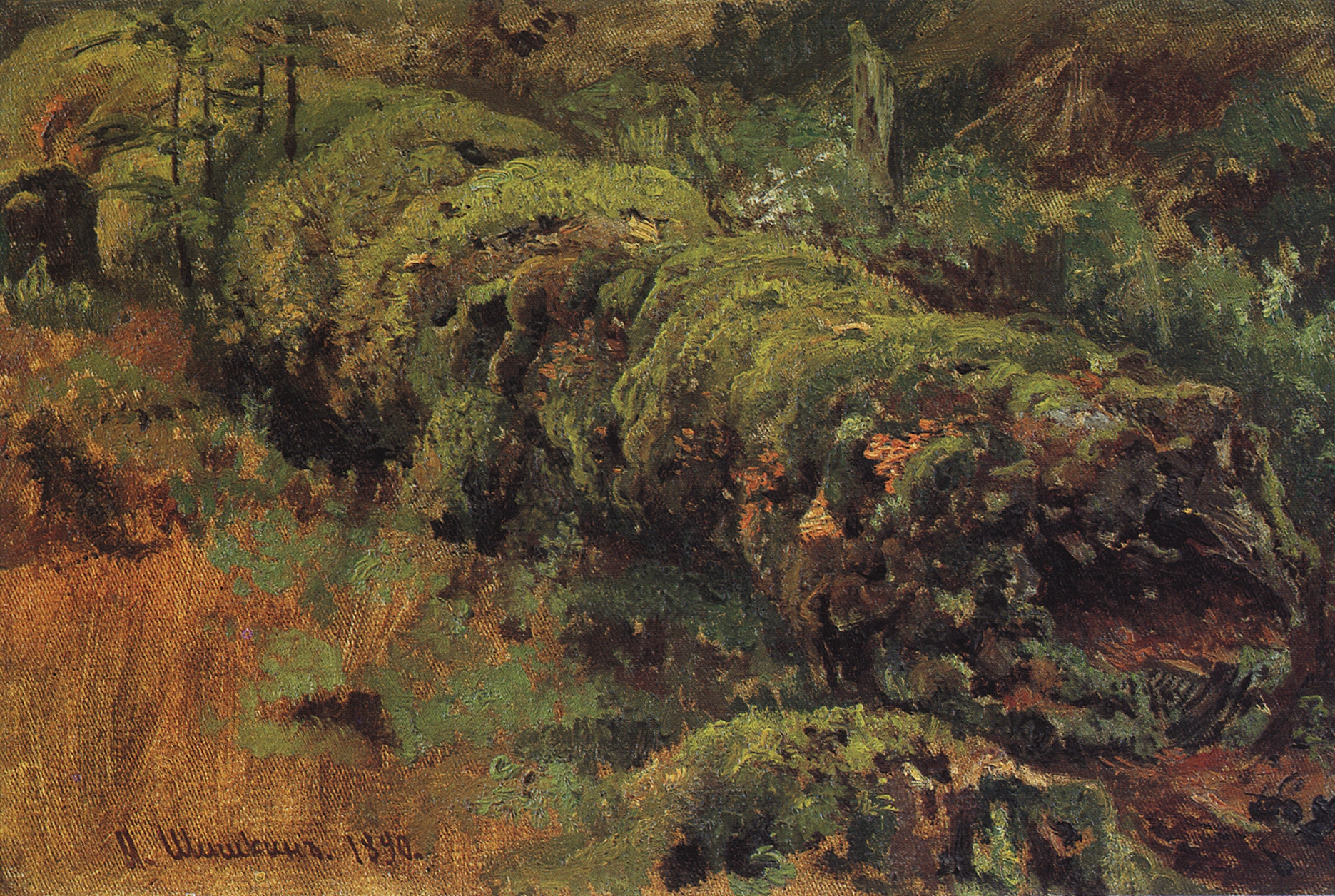 Шишкин. Гнилое дерево, покрытое мхом. 1890