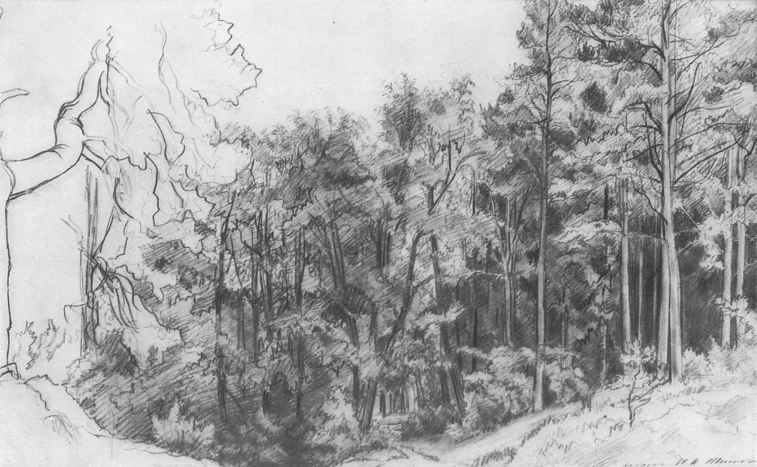 Шишкин. Лиственный лес. 1873