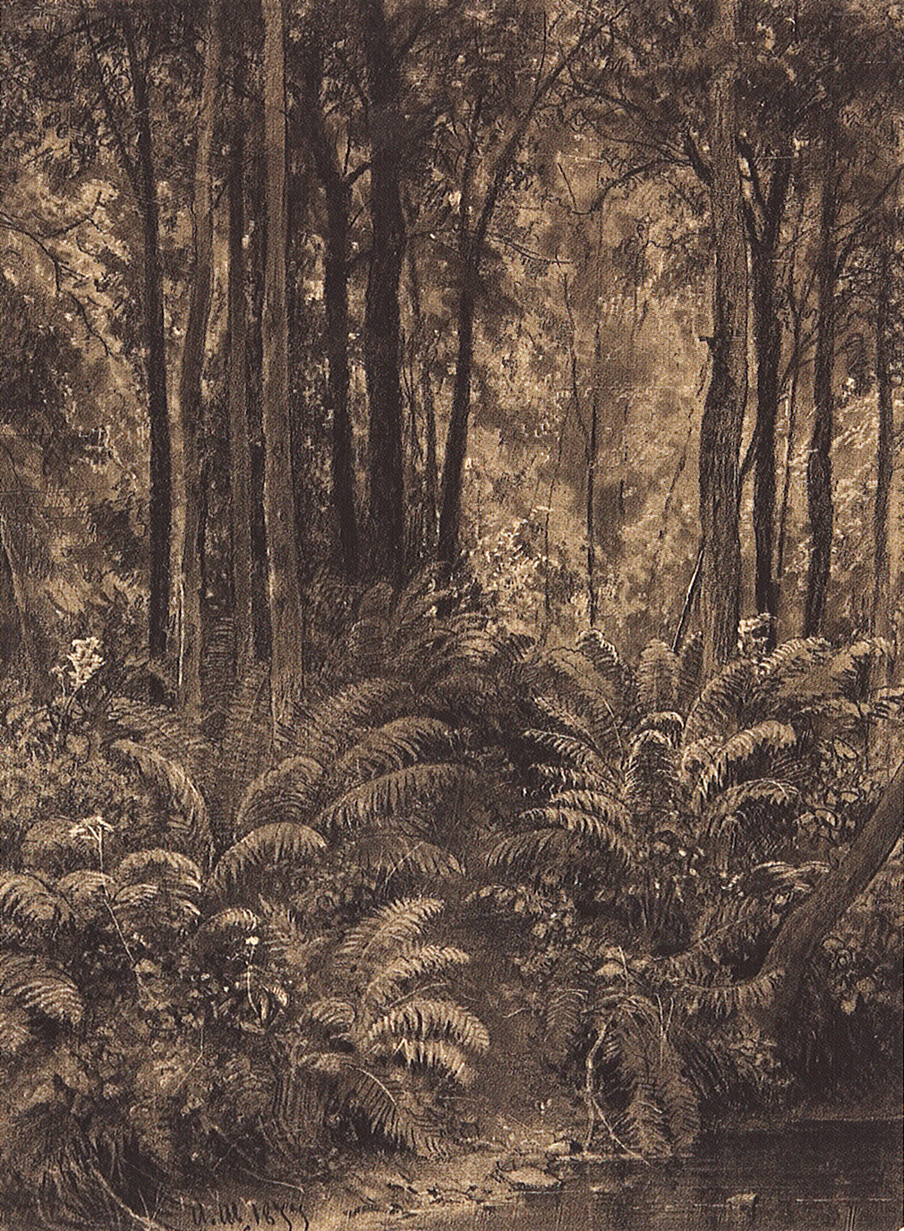 Шишкин. Папоротники в лесу. 1877