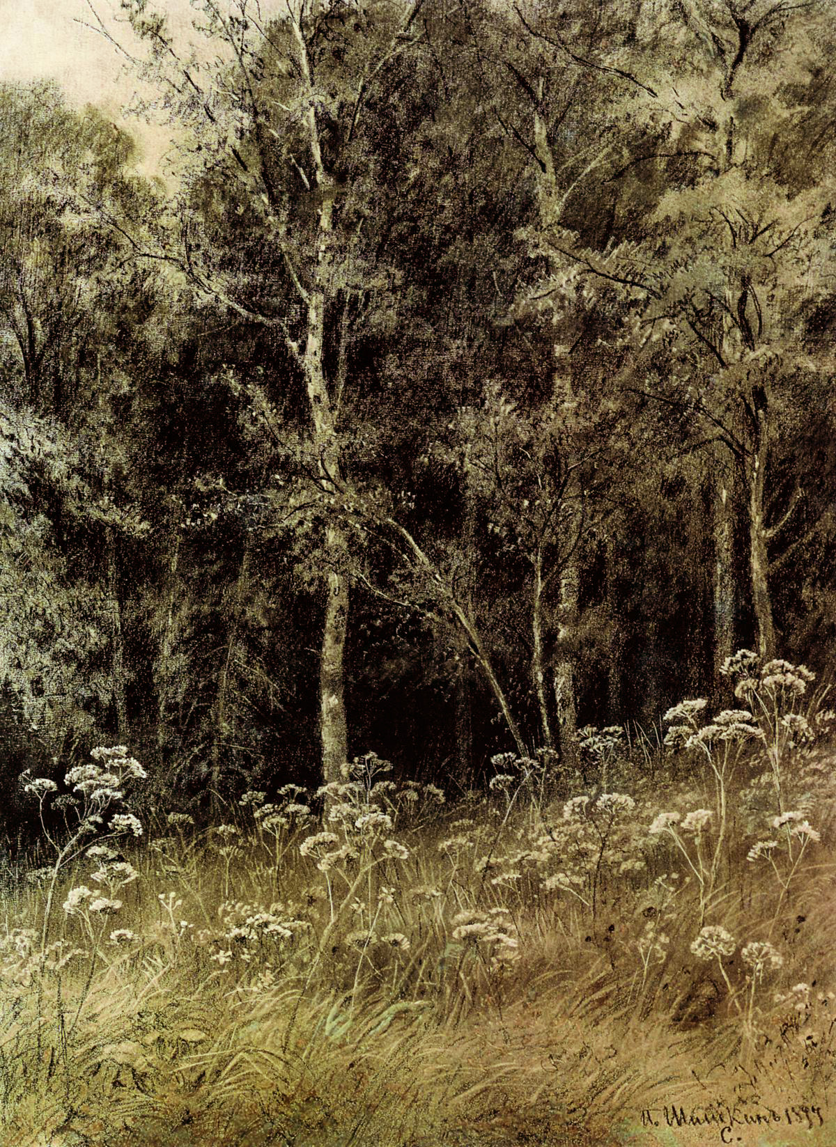 Шишкин. Цветы в лесу. 1877