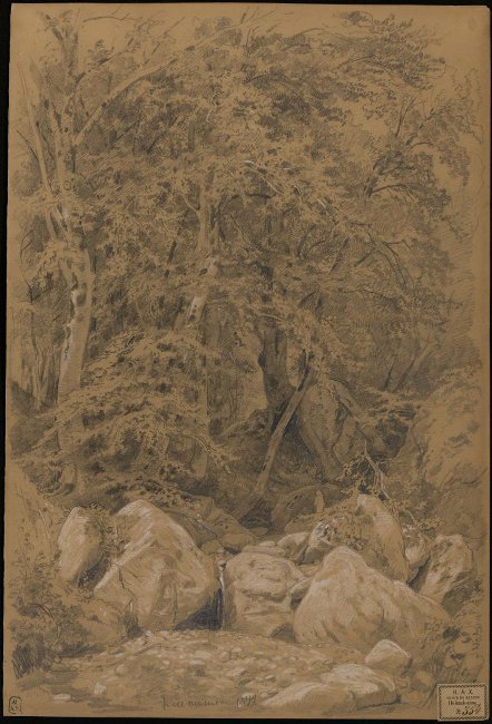 Шишкин. Деревья у ручья на горе Кастель. 1879