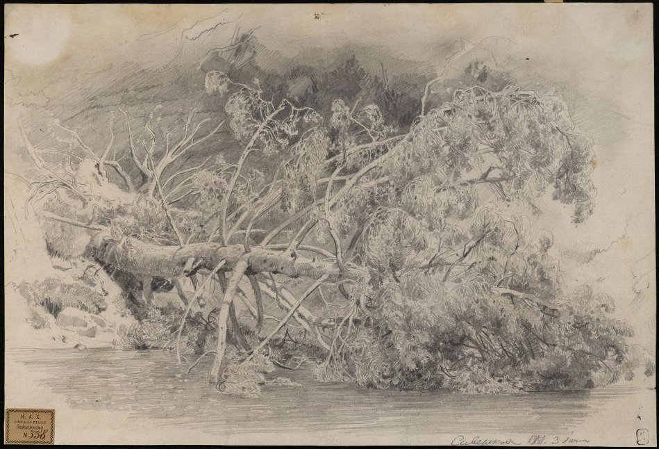 Шишкин. Упавшее дерево. Сиверская. 1879