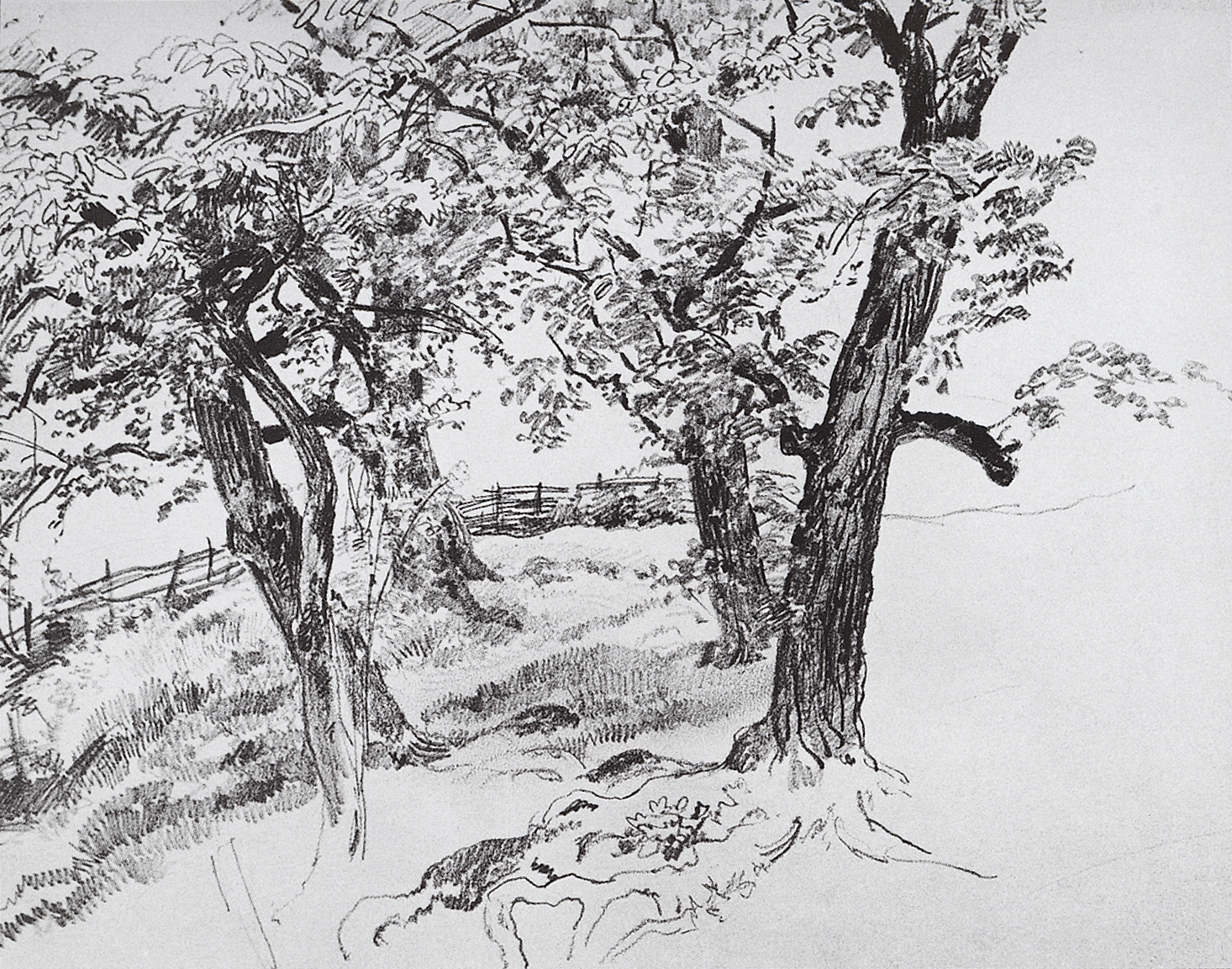 Шишкин. Деревья. 1870-е