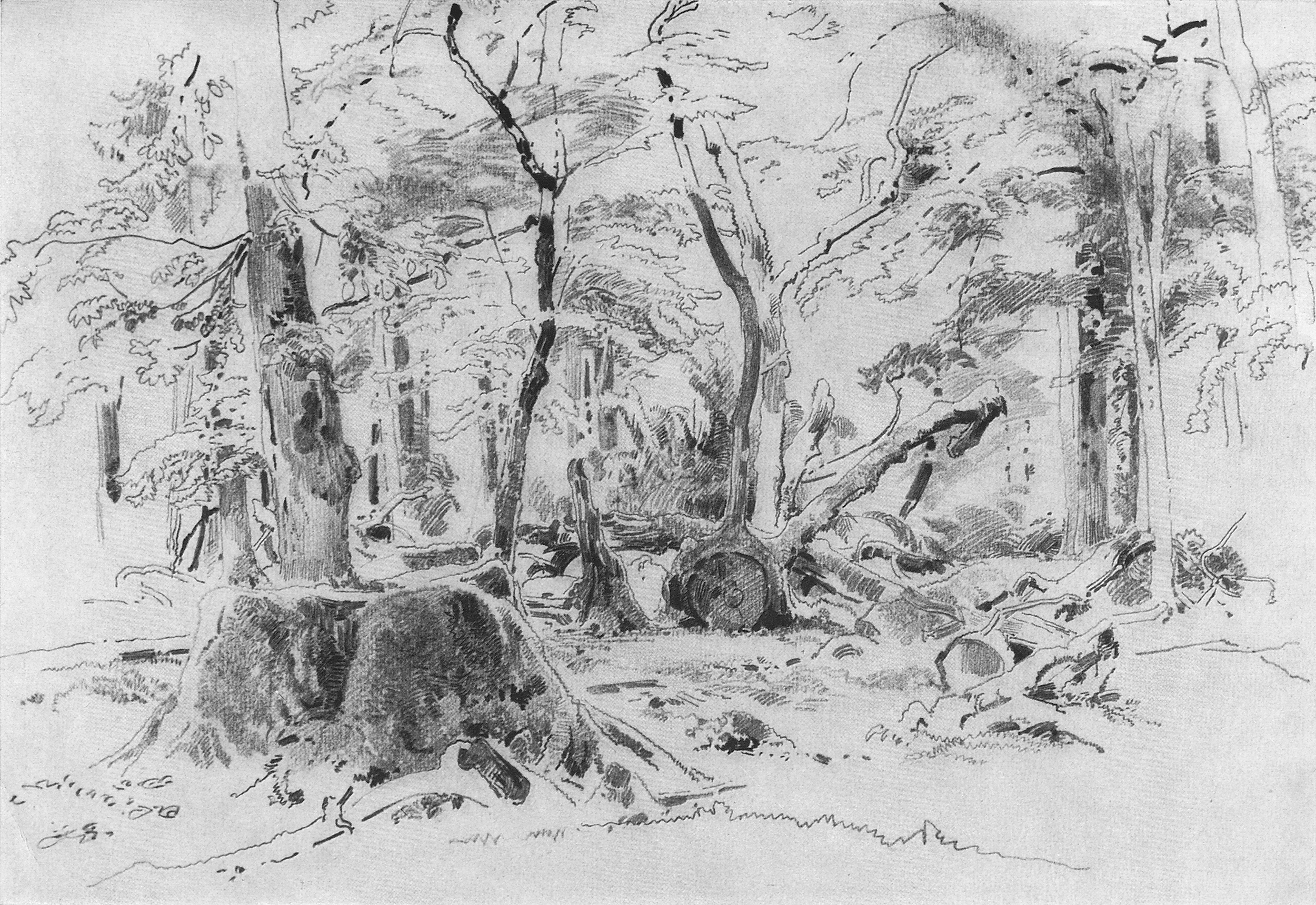 Шишкин. Спиленное дерево. 1870-е