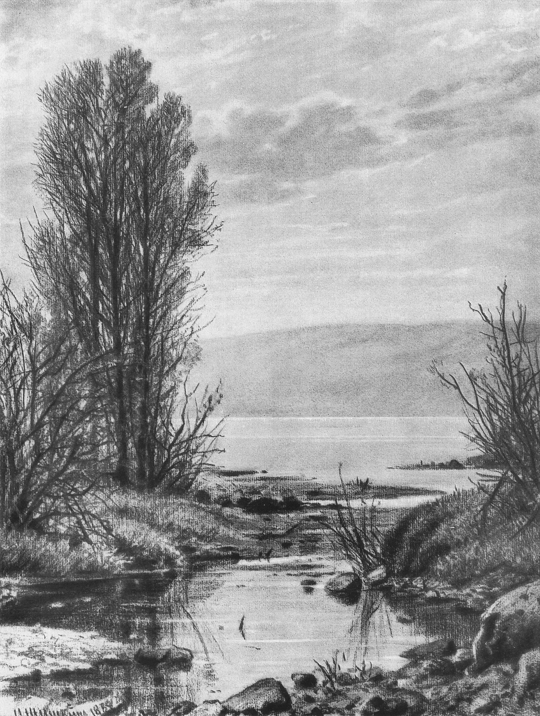Шишкин. Берег озера. 1884