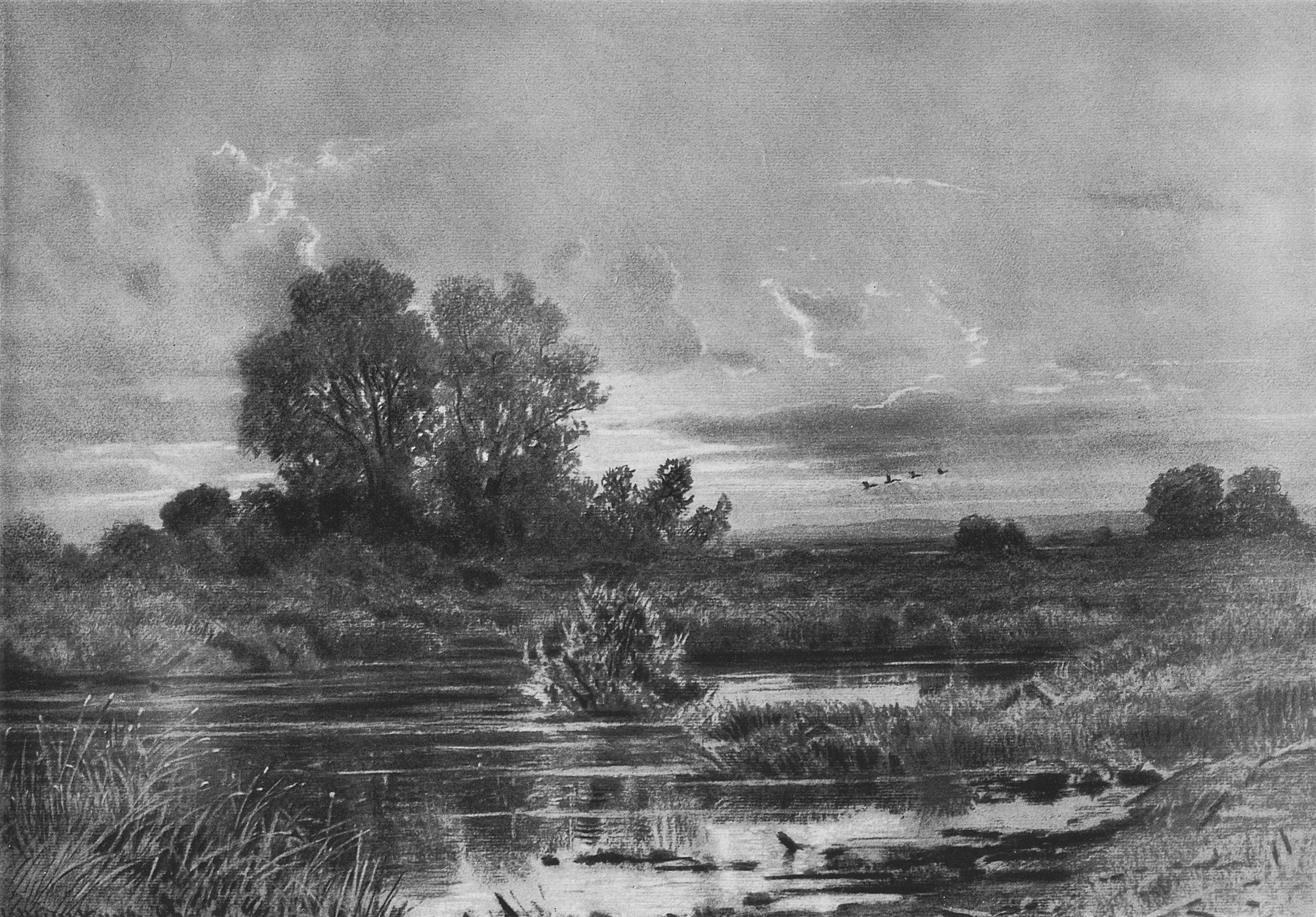 Шишкин. Заросший пруд. 1884