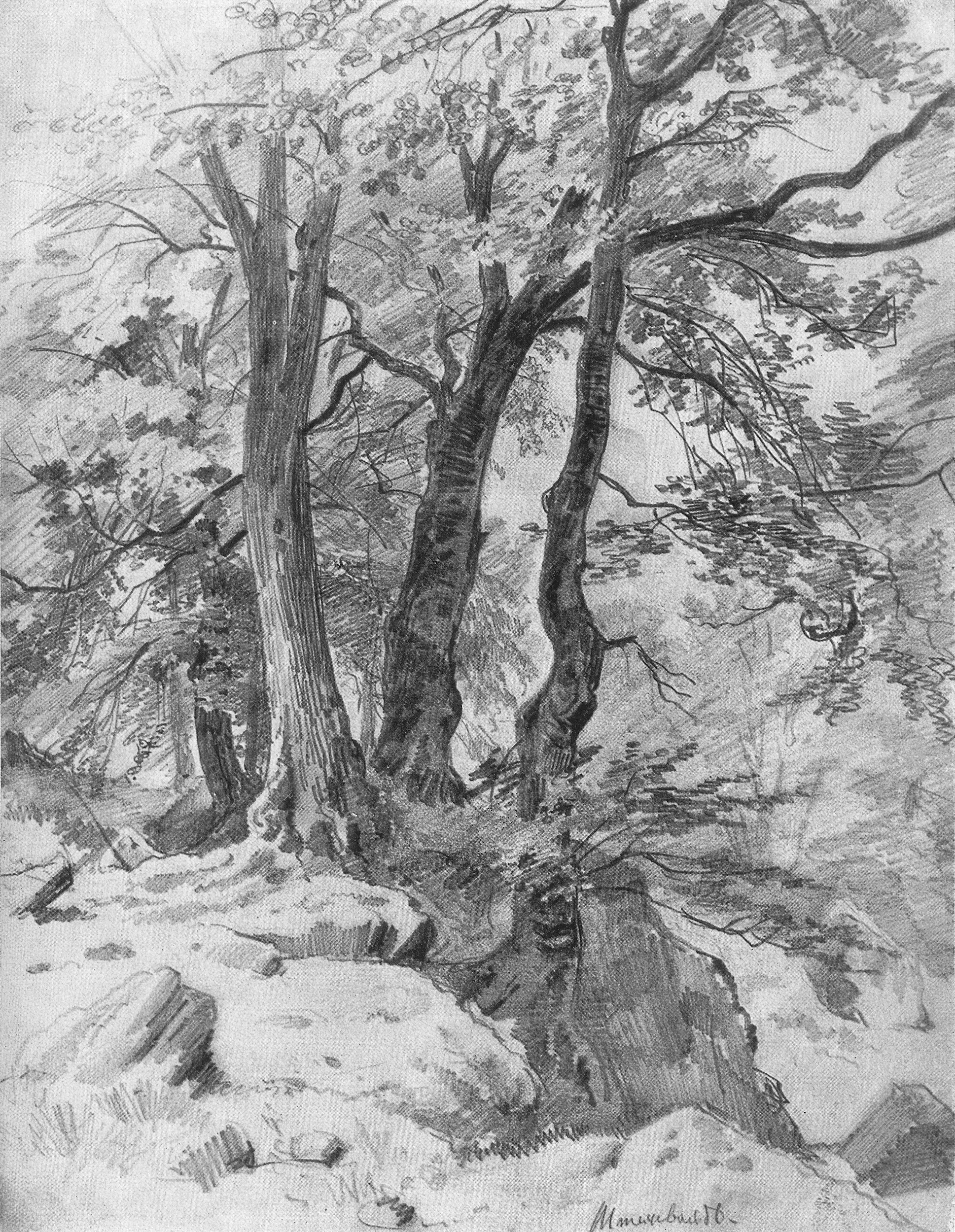Шишкин. В лесу. 1886