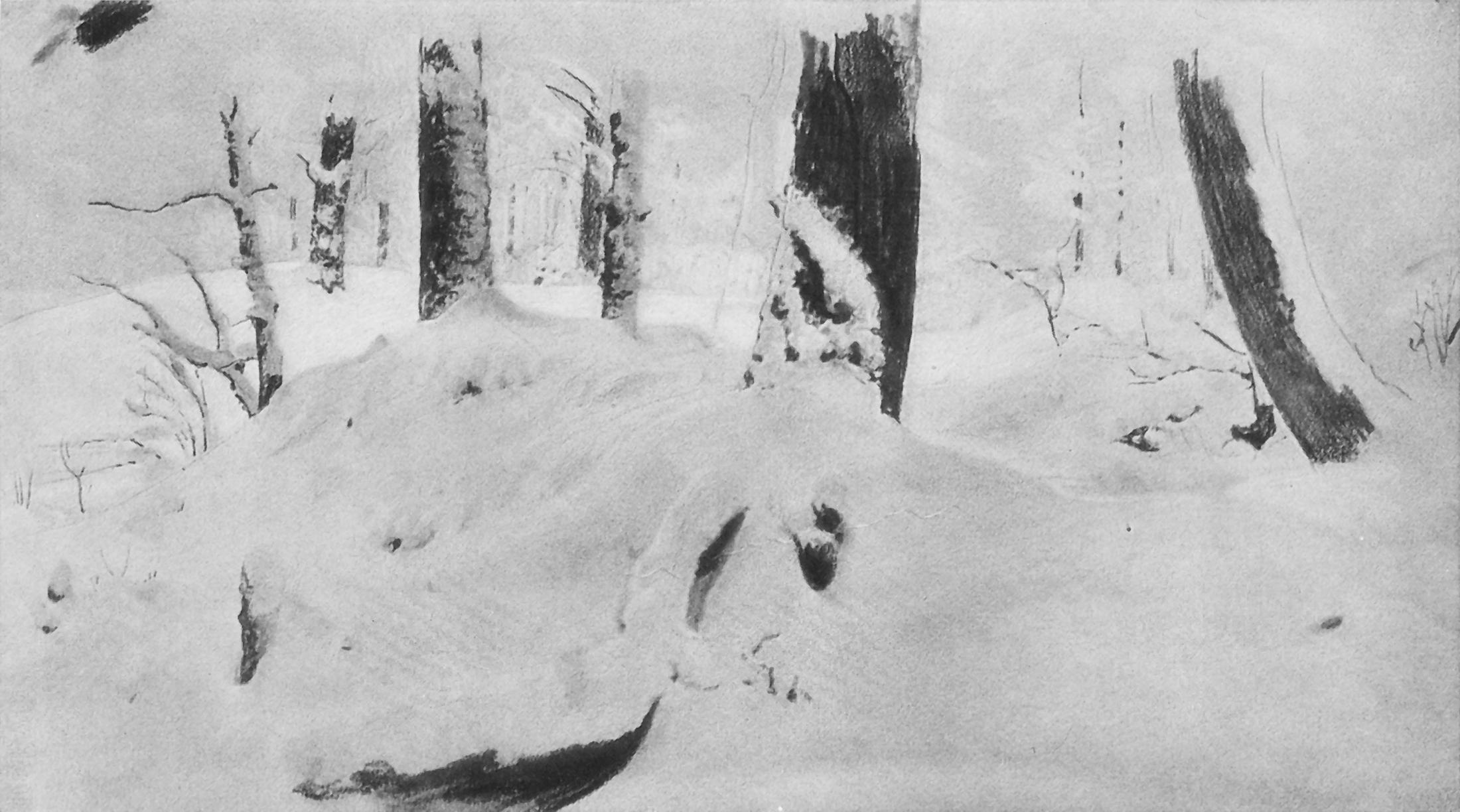 Шишкин. Лес под снегом. 1890-е