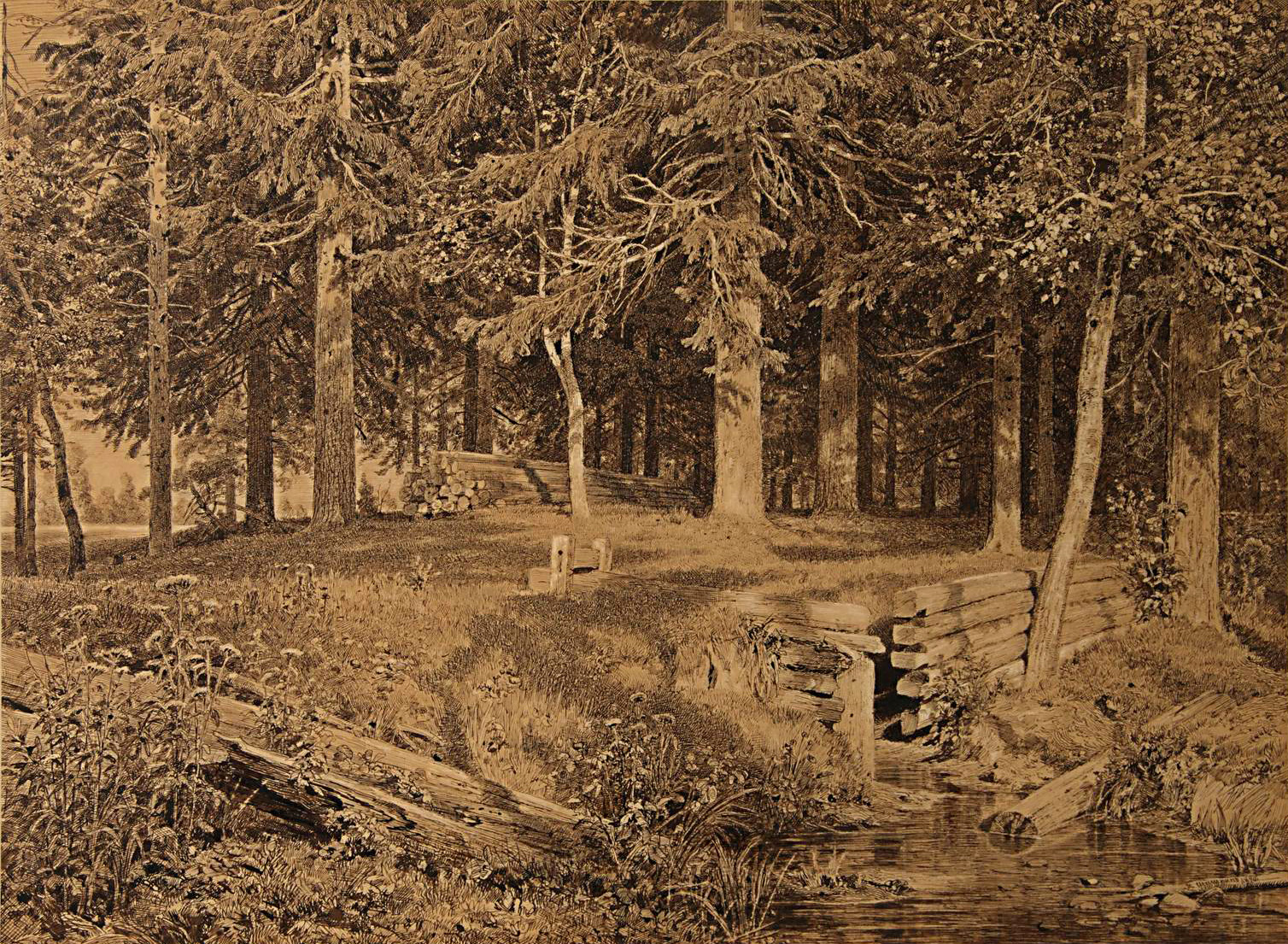 Шишкин. Еловый лес (У ручья). 1890