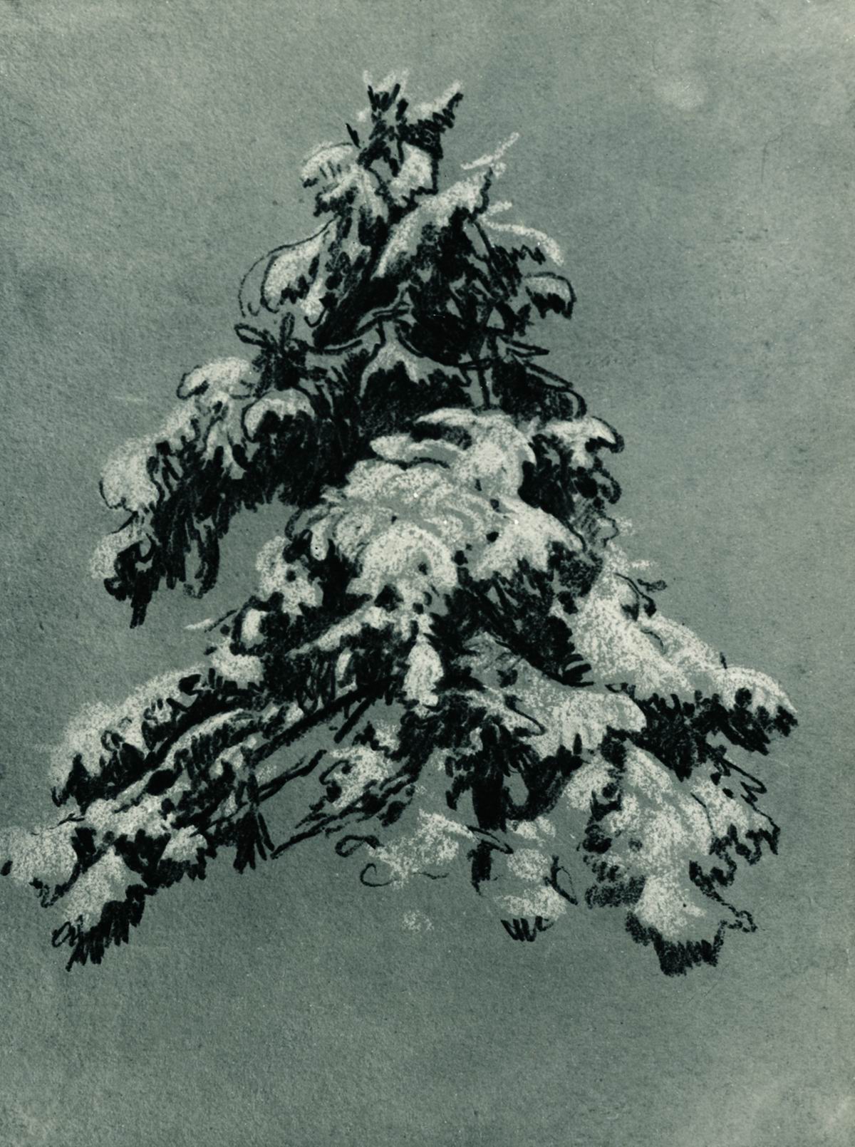 Шишкин. Сосна под снегом. 1890