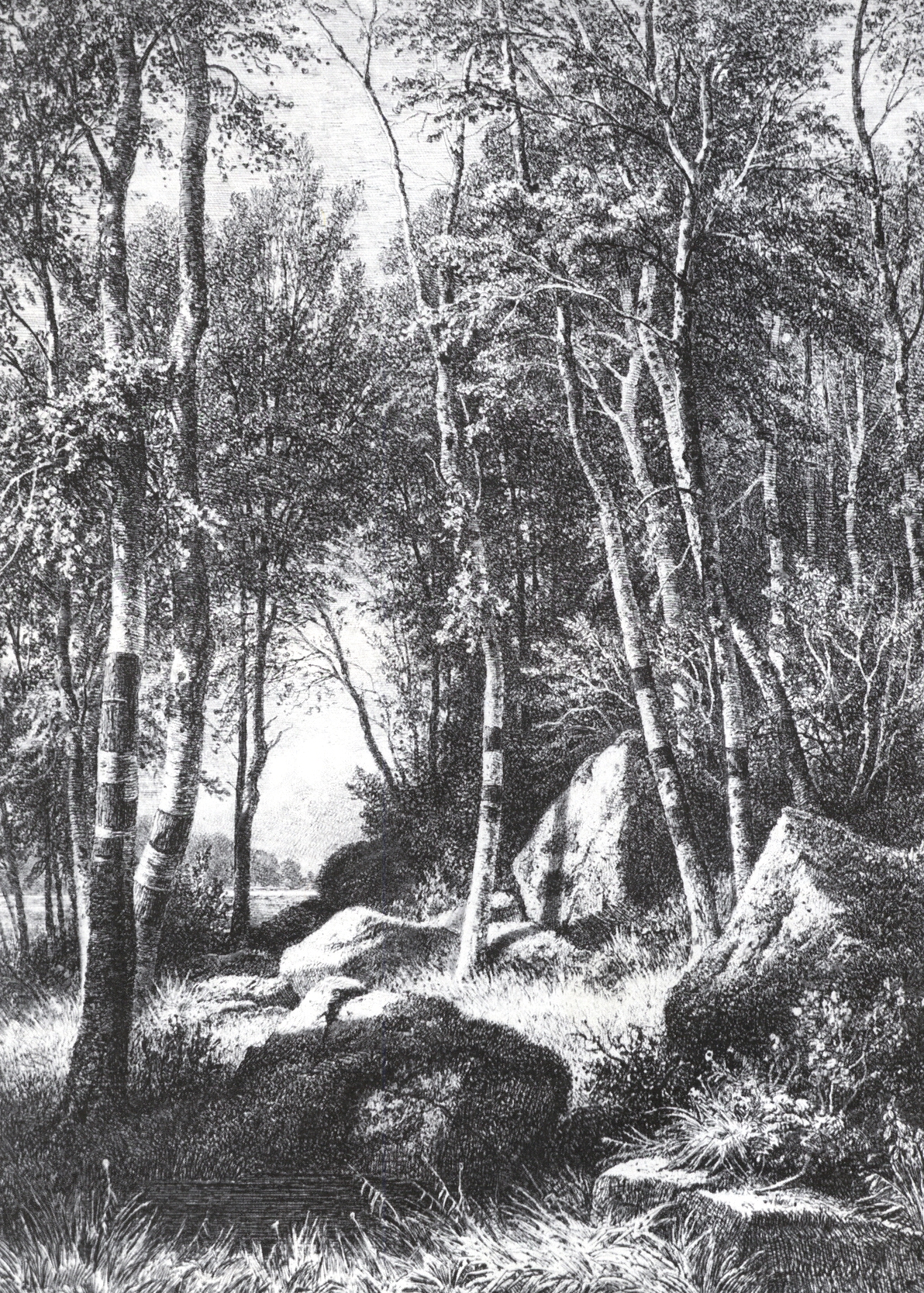 Шишкин. На краю березовой рощи. Валаам. 1859-1860