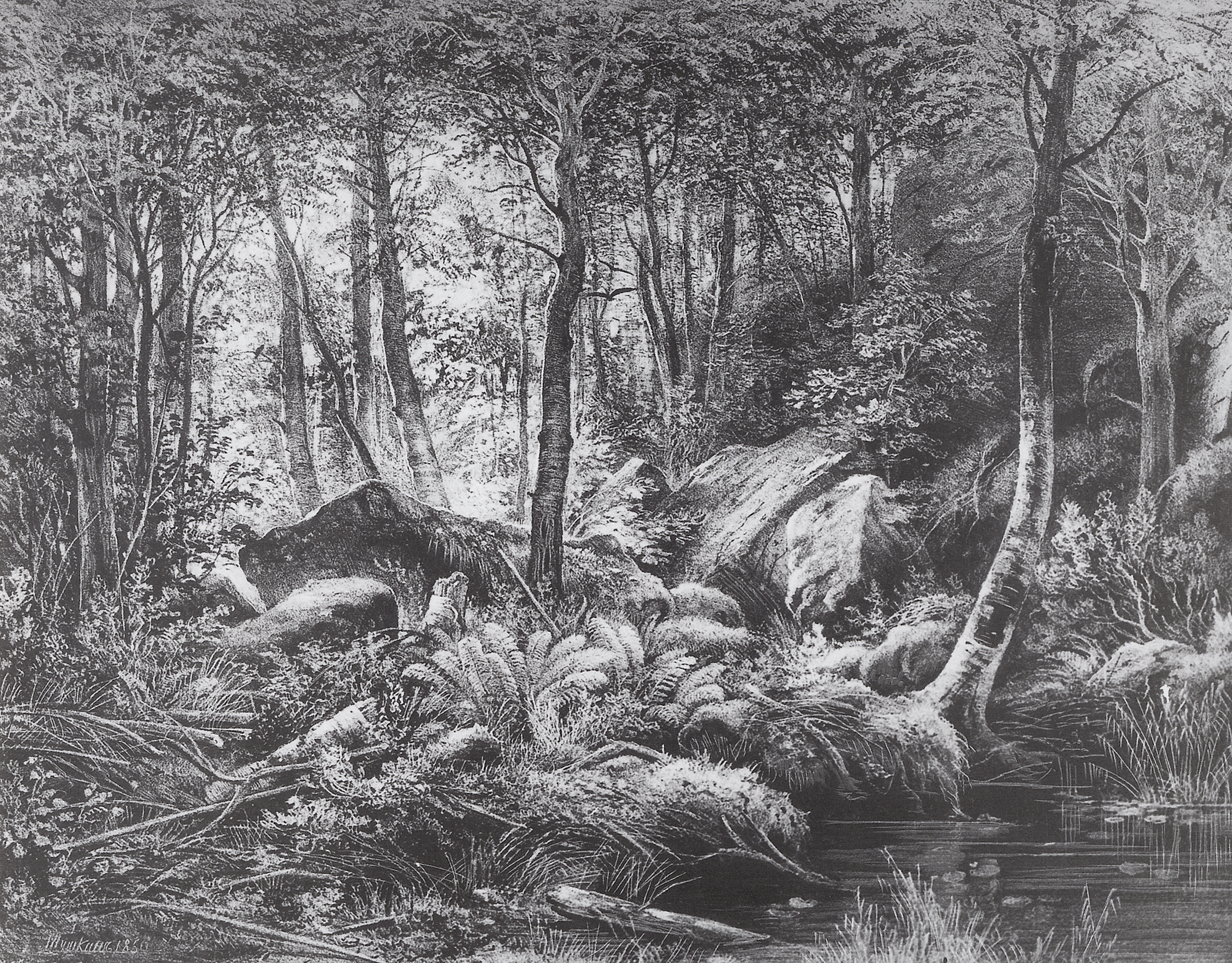 Шишкин. Трущоба (Вид на острове Валааме). 1860