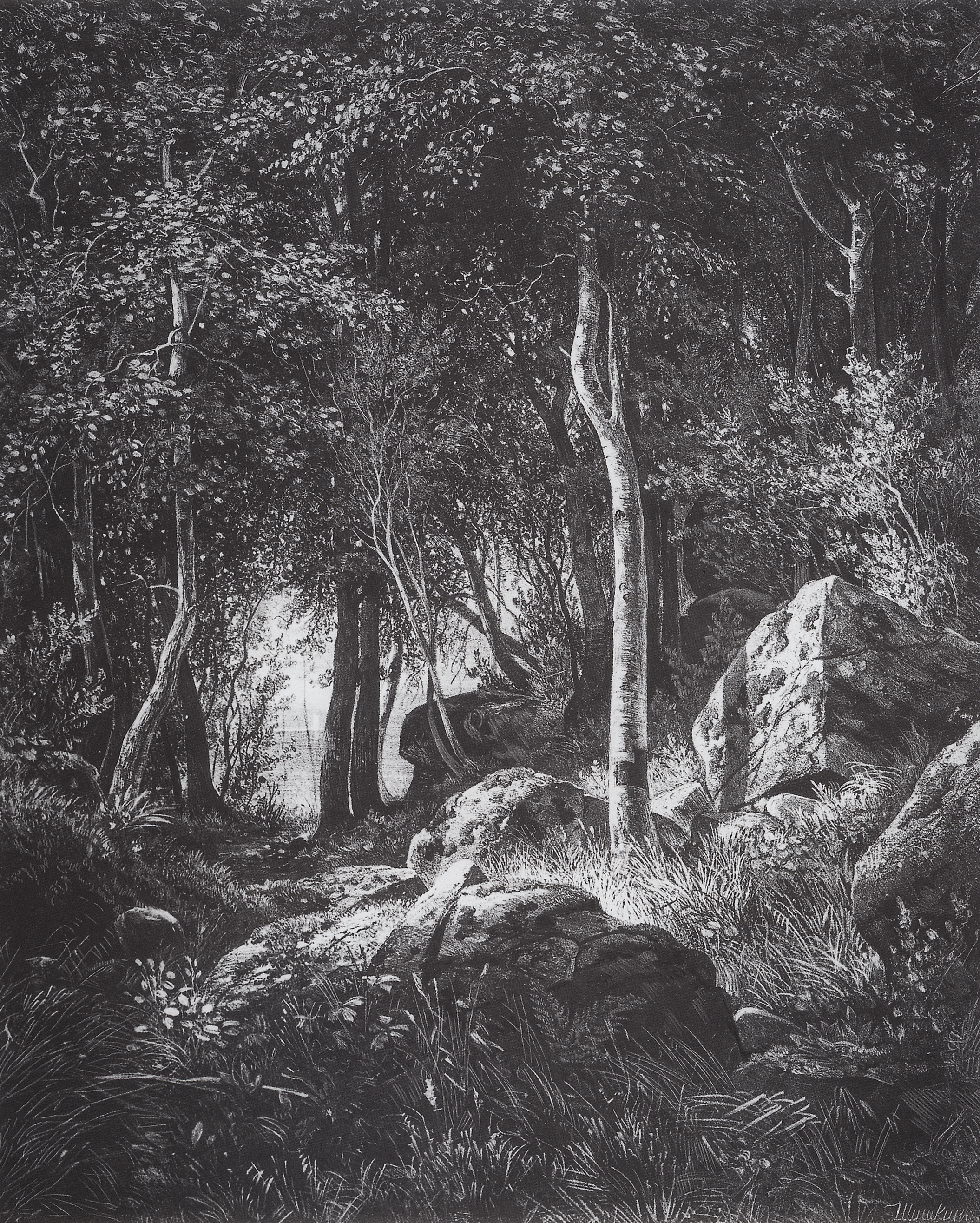 Шишкин. На краю березовой рощи. Остров Валаам. 1859-1860