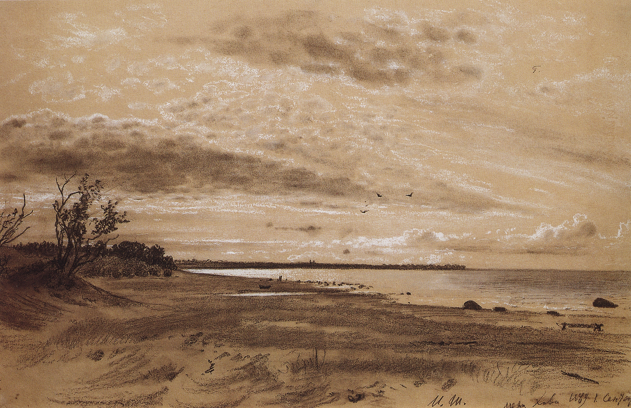 Шишкин. Берег моря. Мери-Хови. 1889