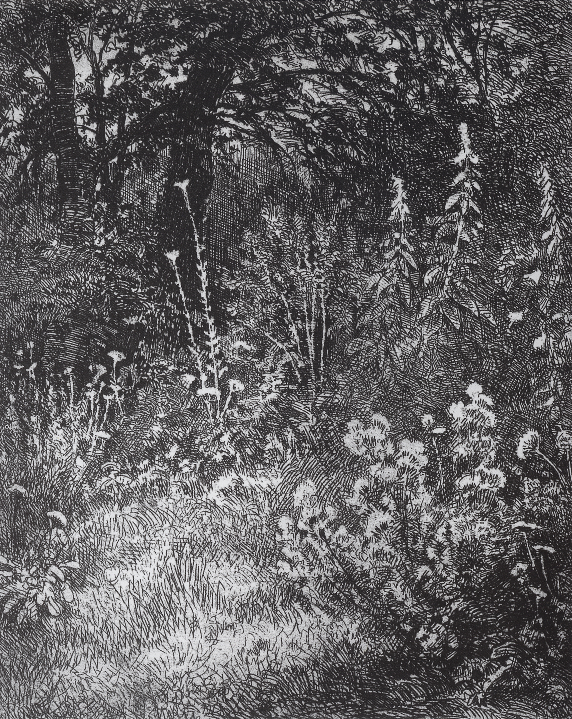 Шишкин. Лесные цветы. 1873