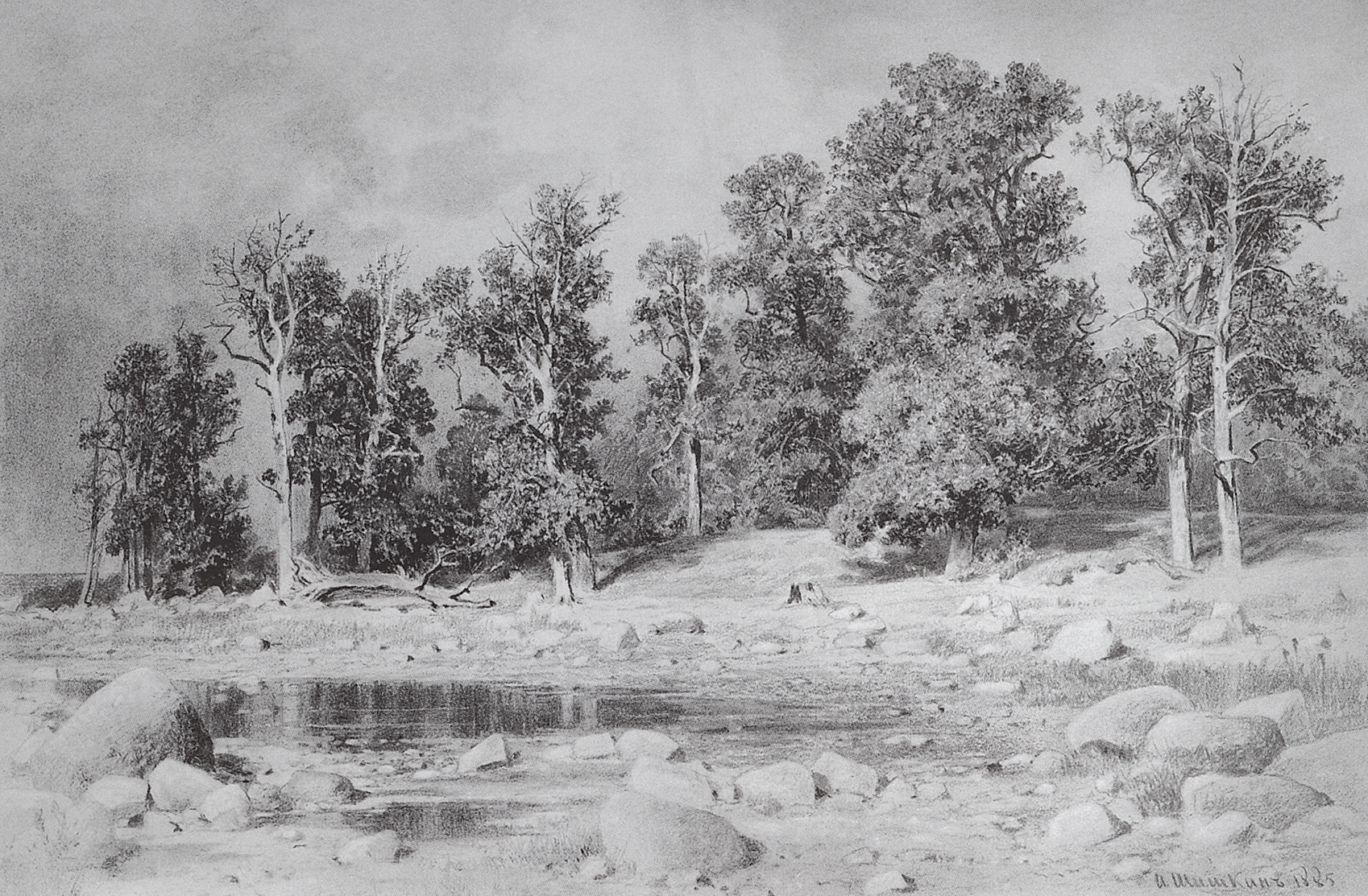 Шишкин. Дубовая роща Петра Великого на берегу залива в Сестрорецке. 1885
