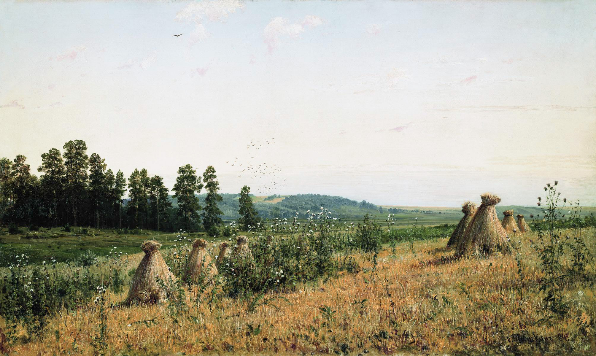Шишкин. Сжатое поле. Полесский пейзаж. 1884