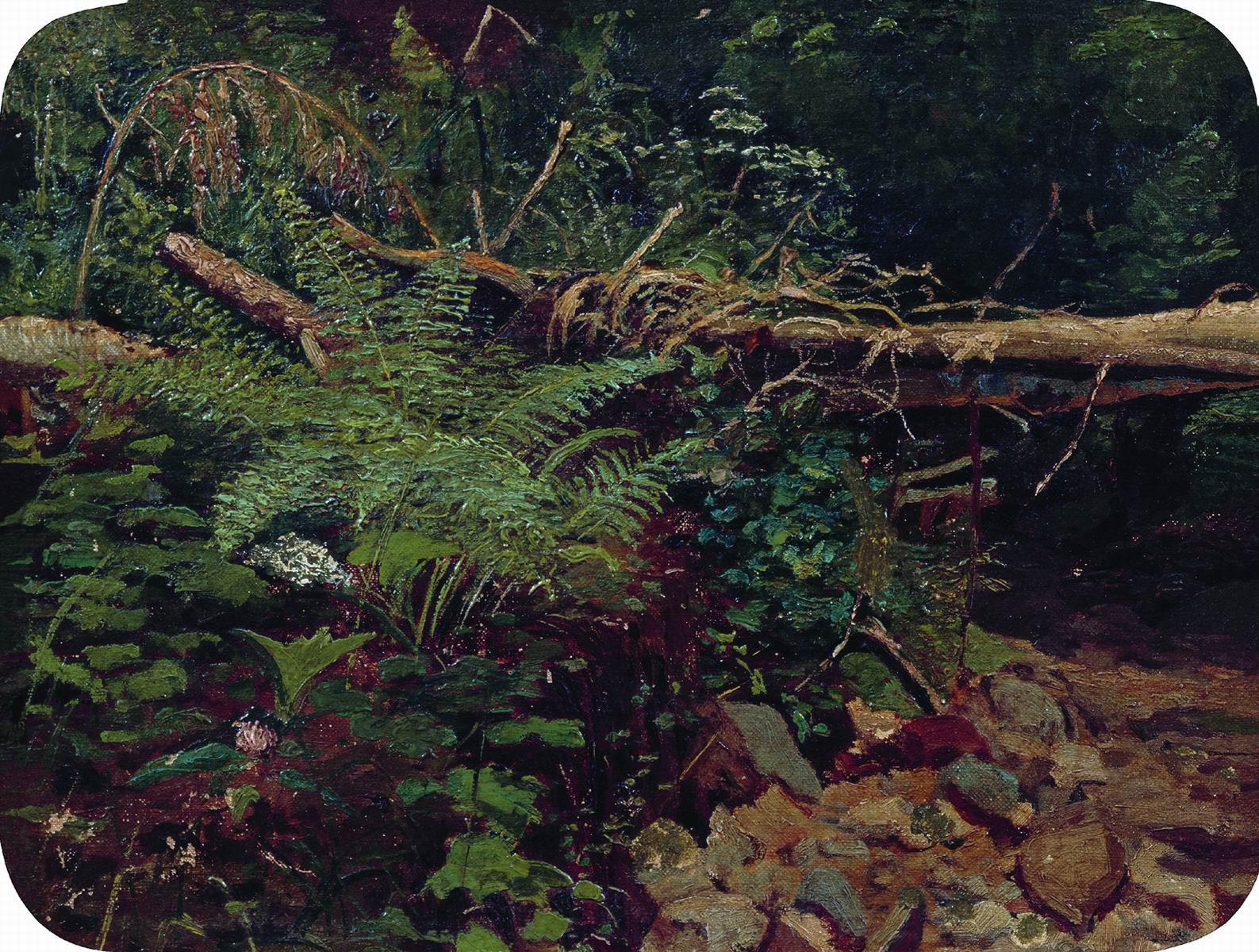 Шишкин. Пейзаж. 1896