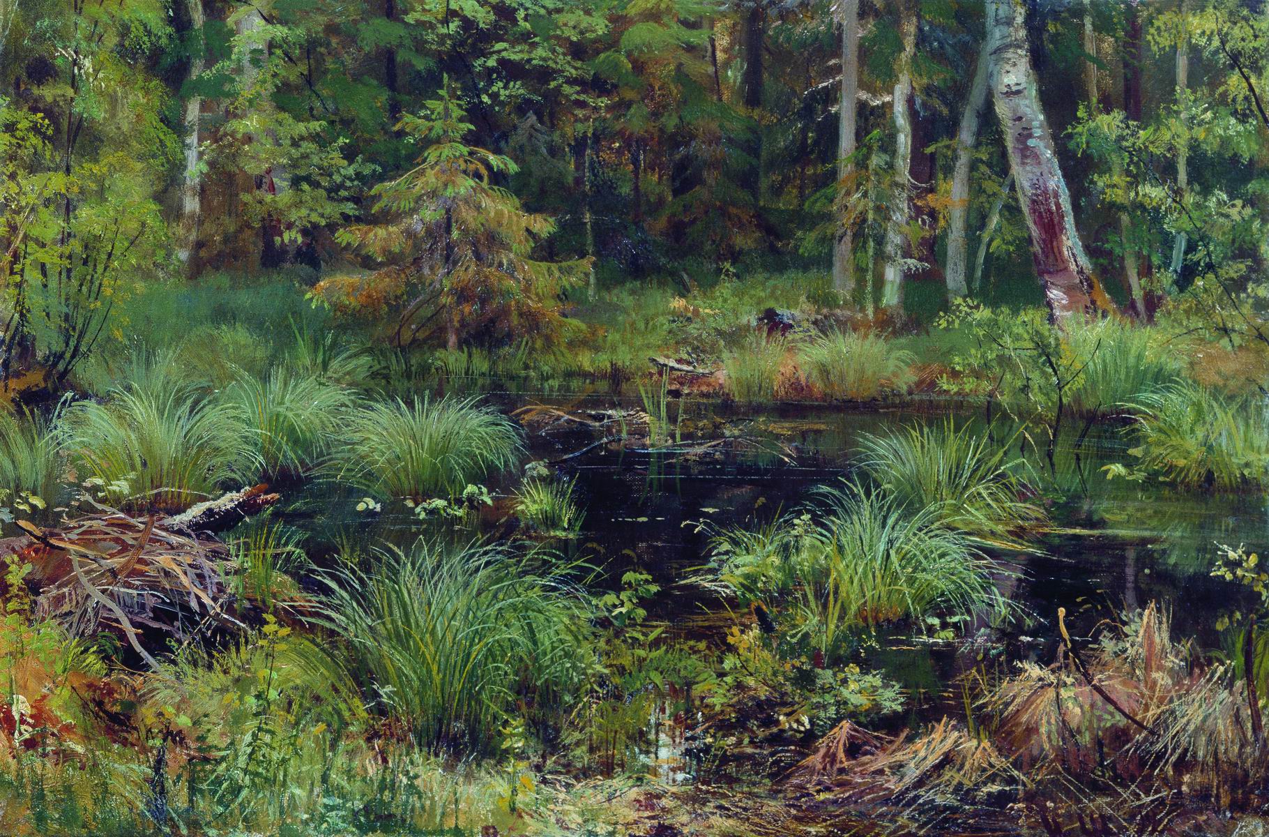 Шишкин. Родник в лесу. 1892