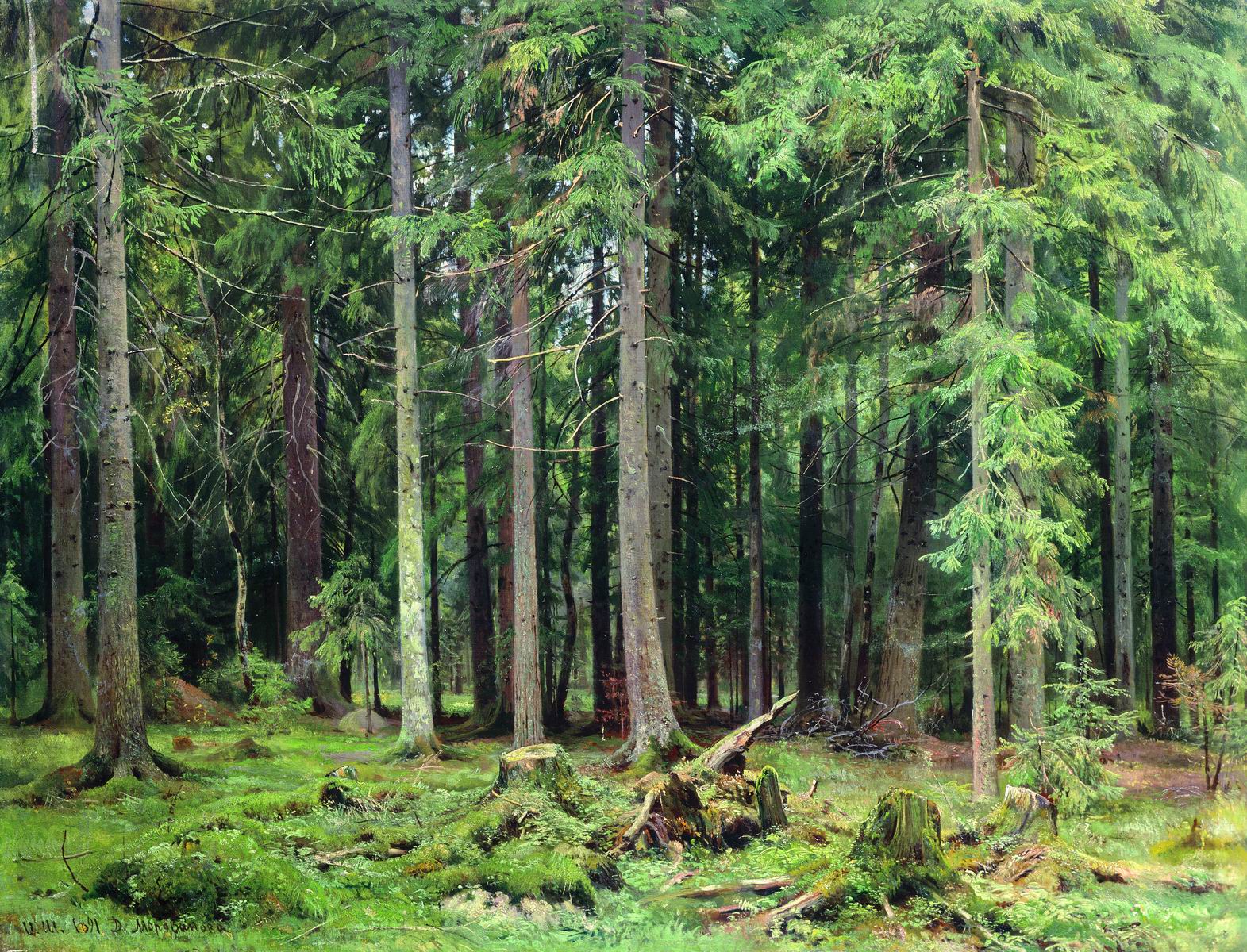 Шишкин. Лес в Мордвинове. 1891