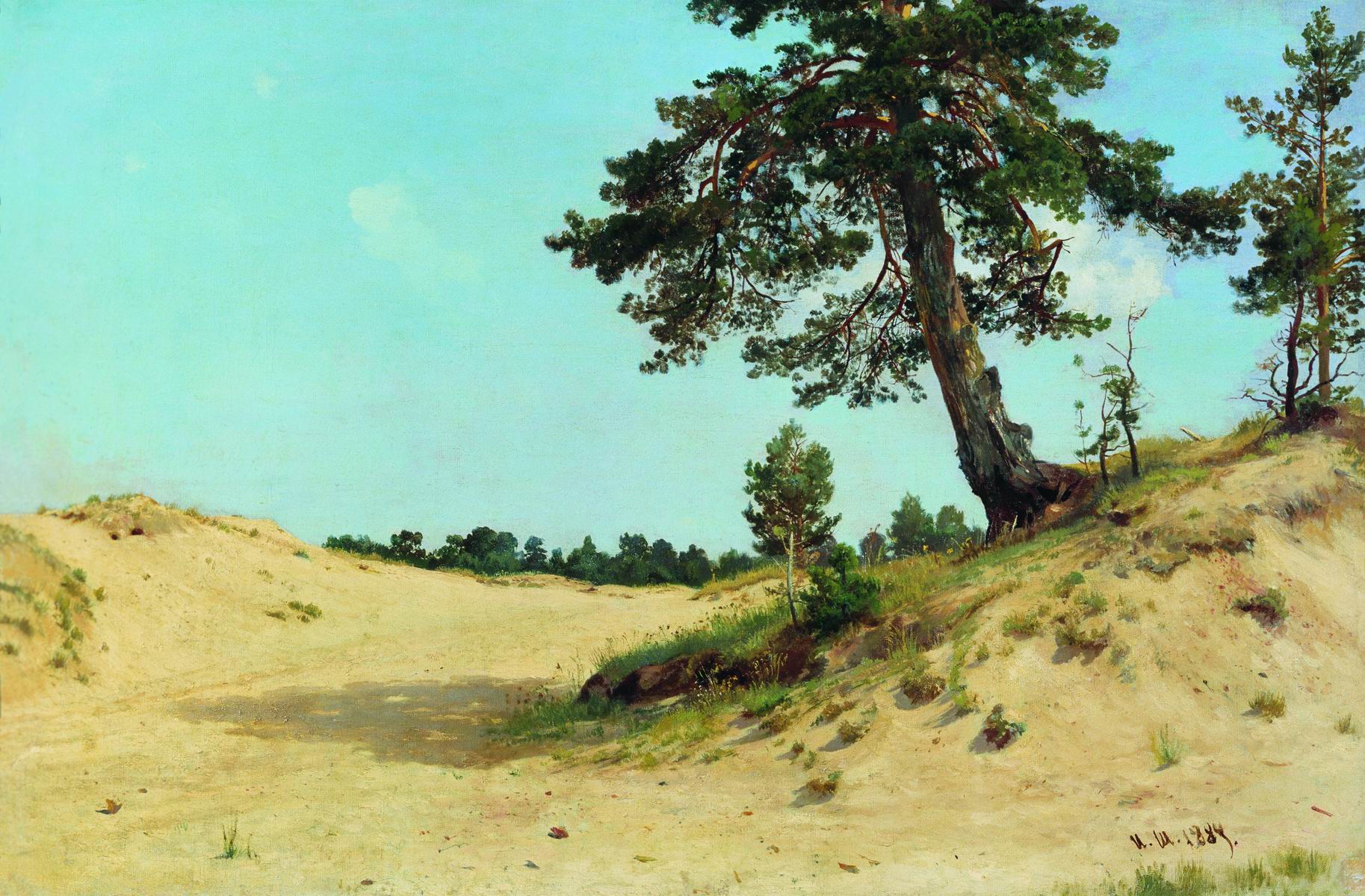 Шишкин. Сосна на песке. 1884 (?)