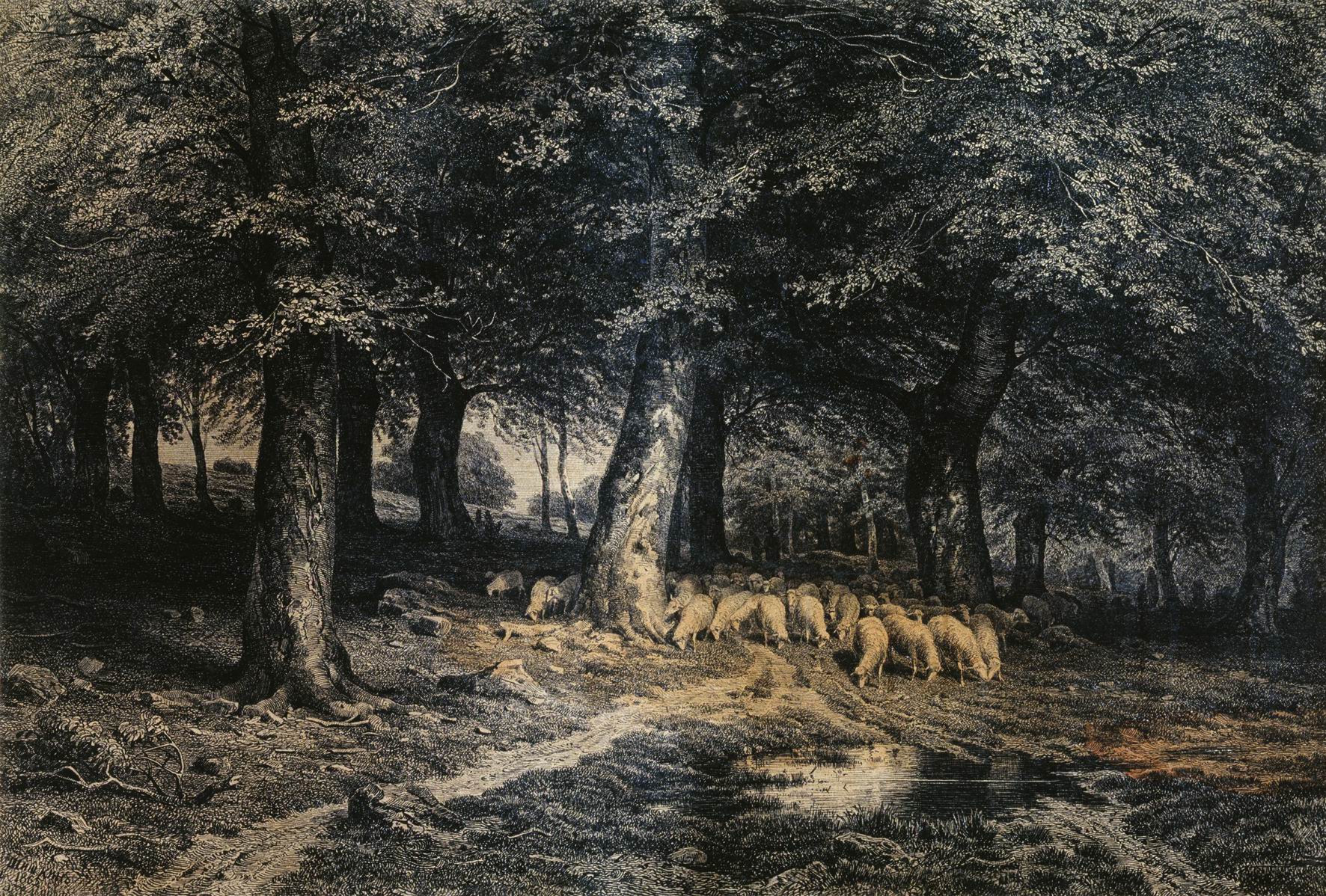 Шишкин. Стадо овец в лесу. 1865