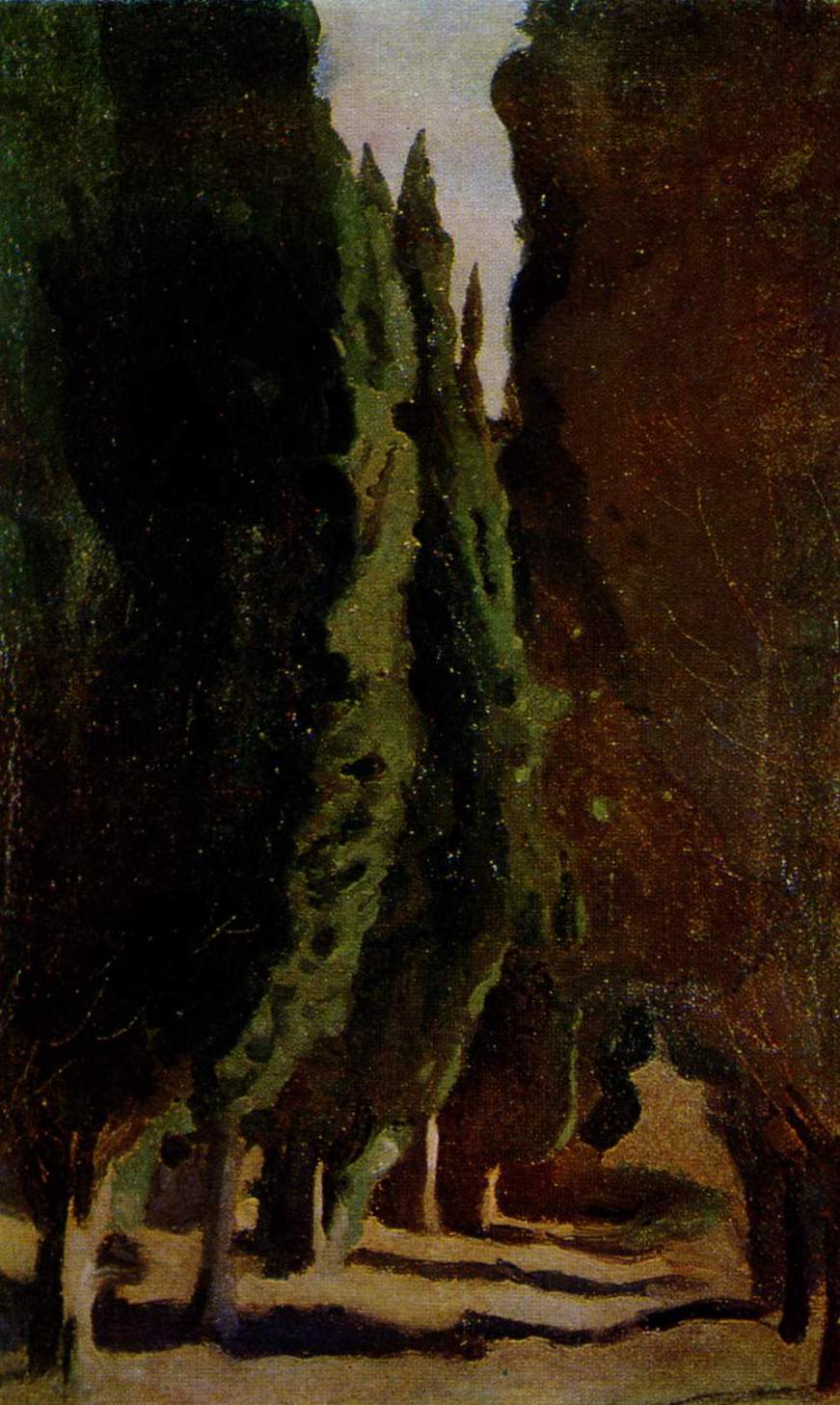 Сомов. Кипарисы в Алуште. 1901  