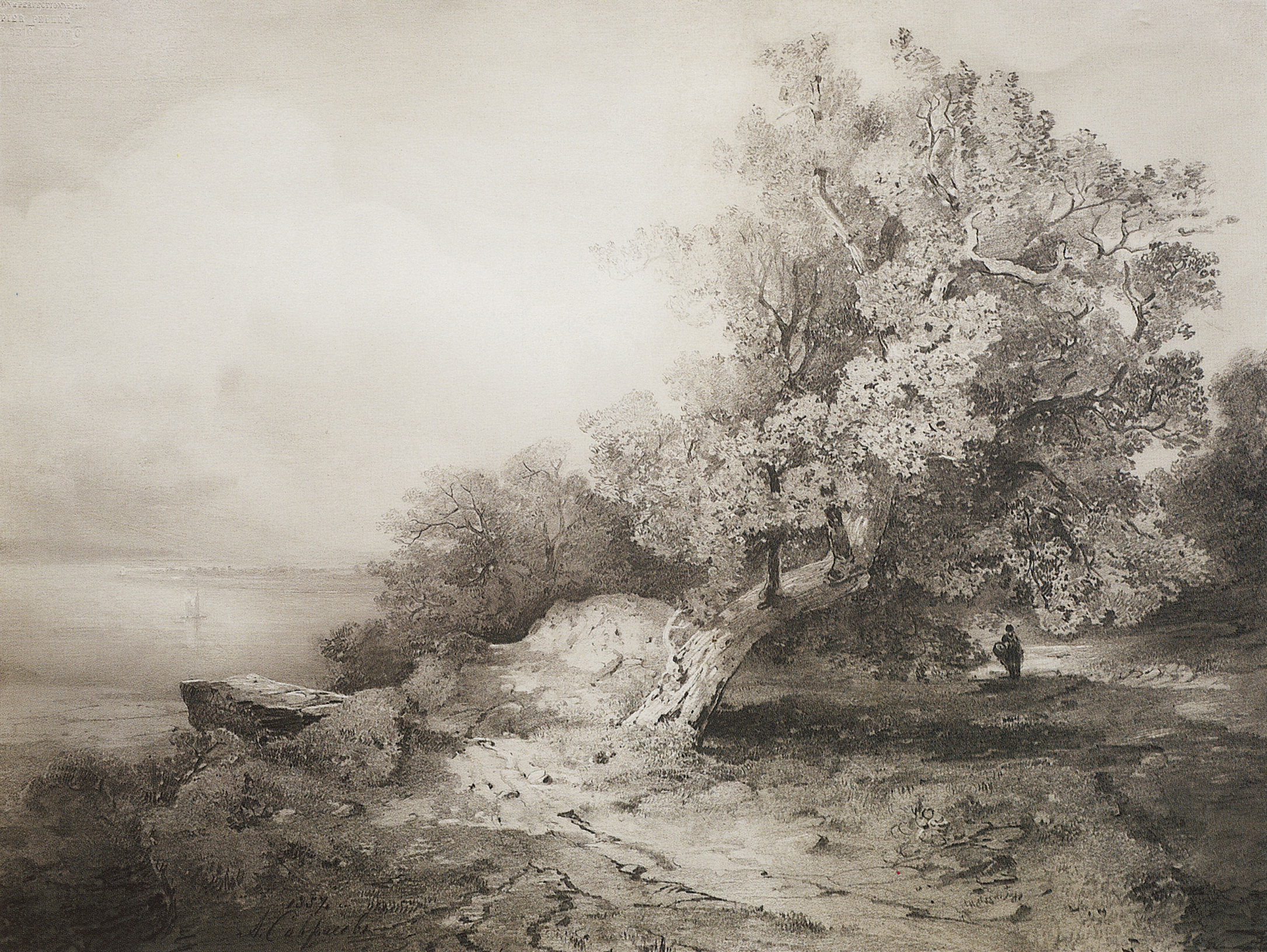 Саврасов. Старый дуб у обрыва над рекой. 1857