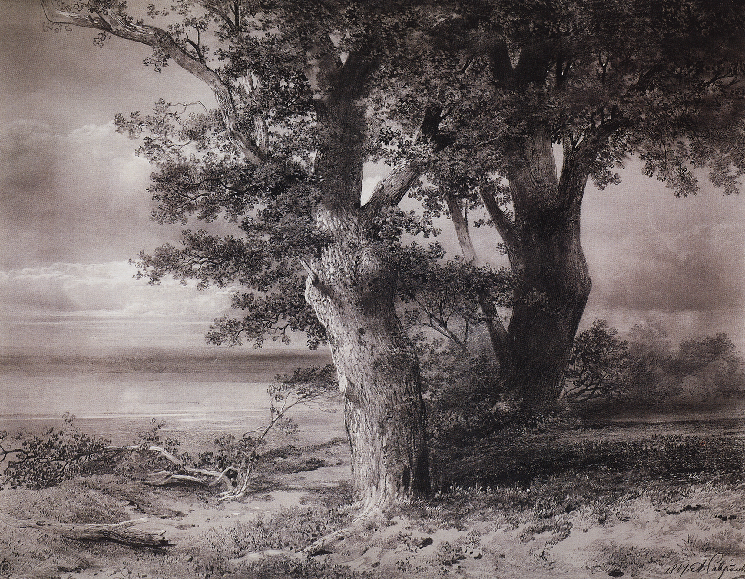 Саврасов. Дубы на берегу. 1867