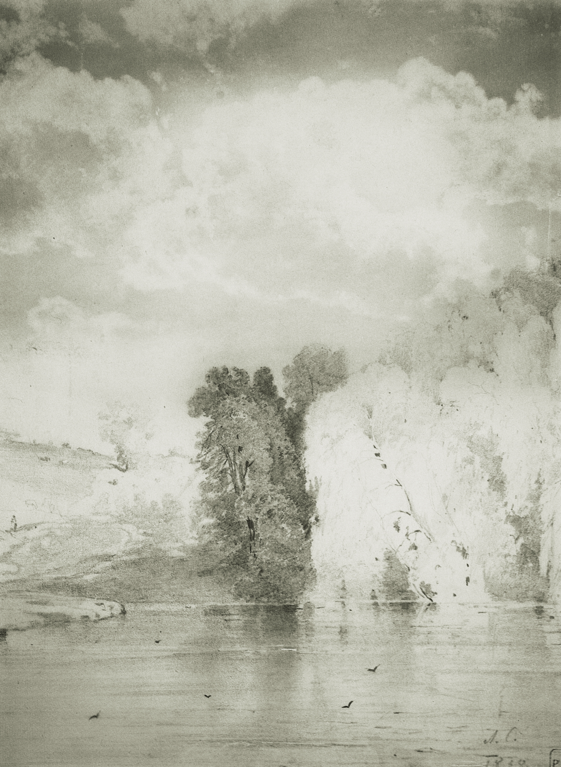 Саврасов. Деревья у озера. 1868