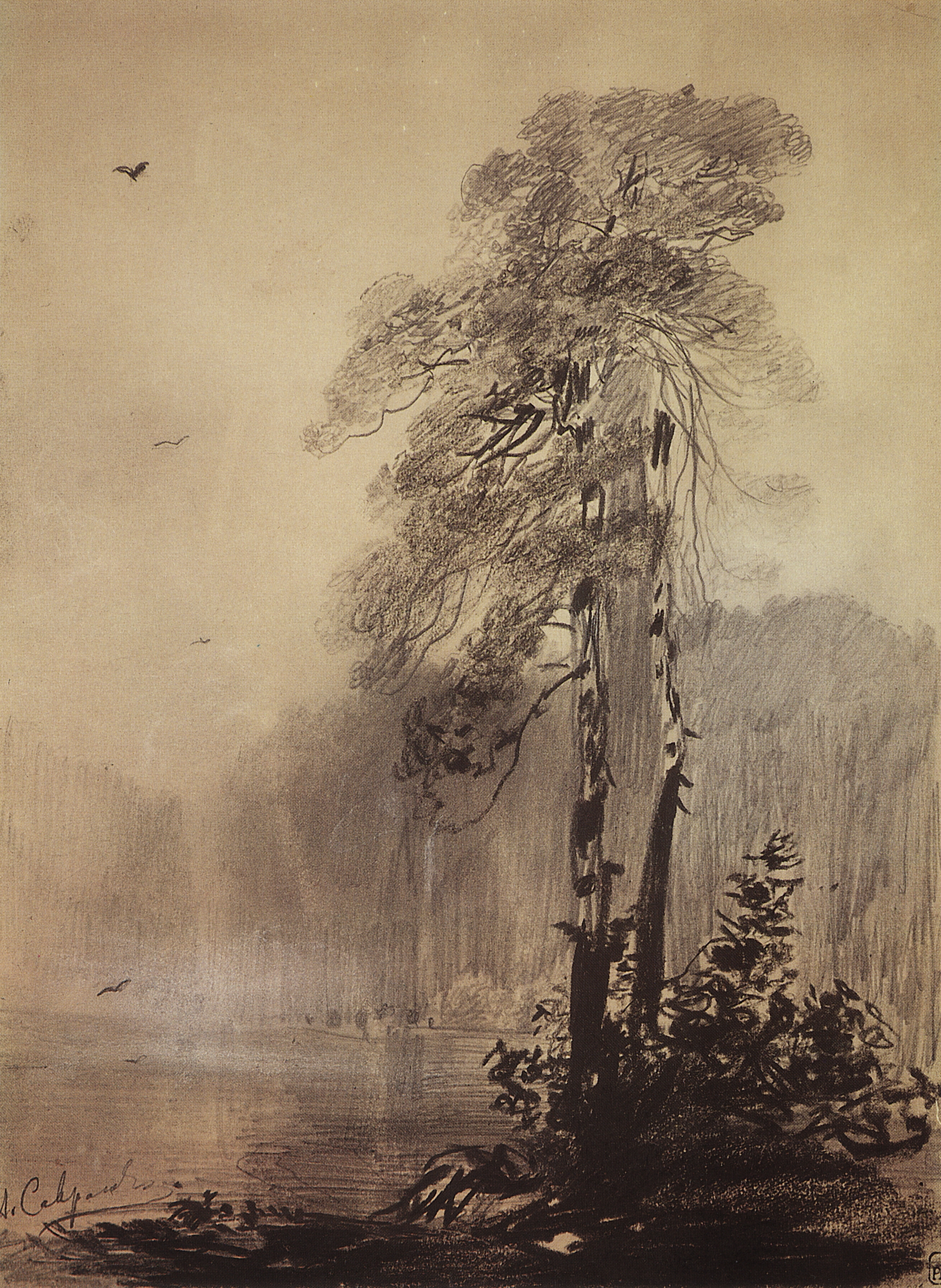 Саврасов. Сосны на берегу озера. 1880-1890-е