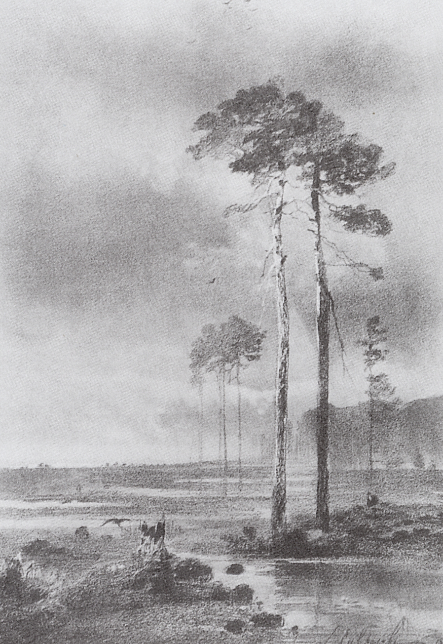 Саврасов. Сосны у болота. 1882