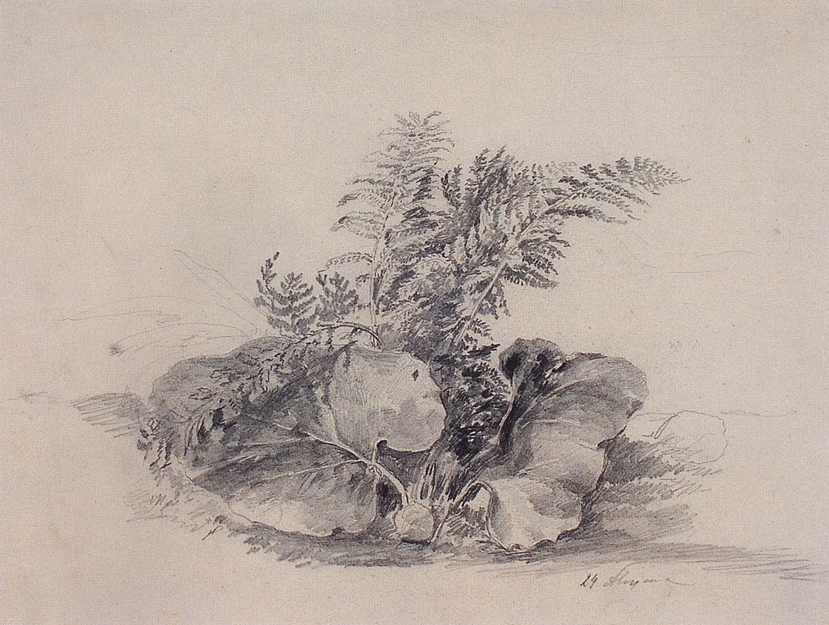 Саврасов. Листы папоротника и лопуха. 1854