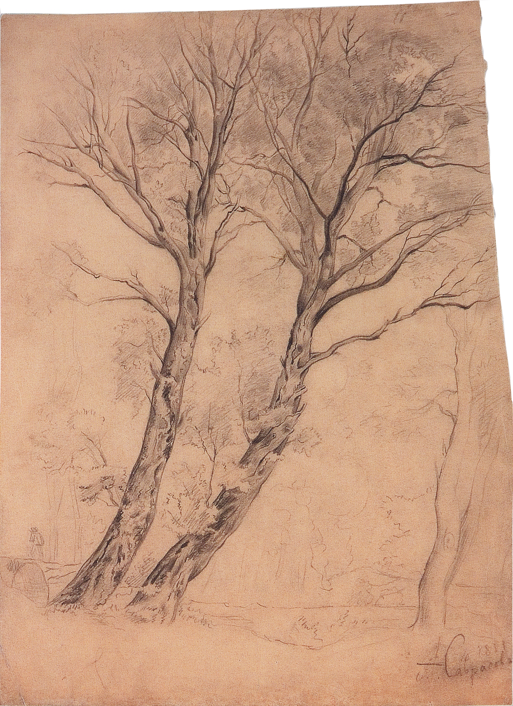 Саврасов. Деревья. 1850-е