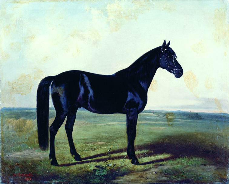 Сверчков Н.. Черная лошадь