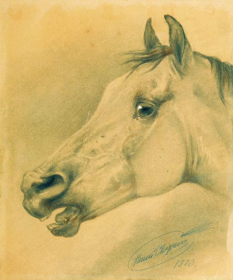 Сверчков Н.. Голова лошади. 1883