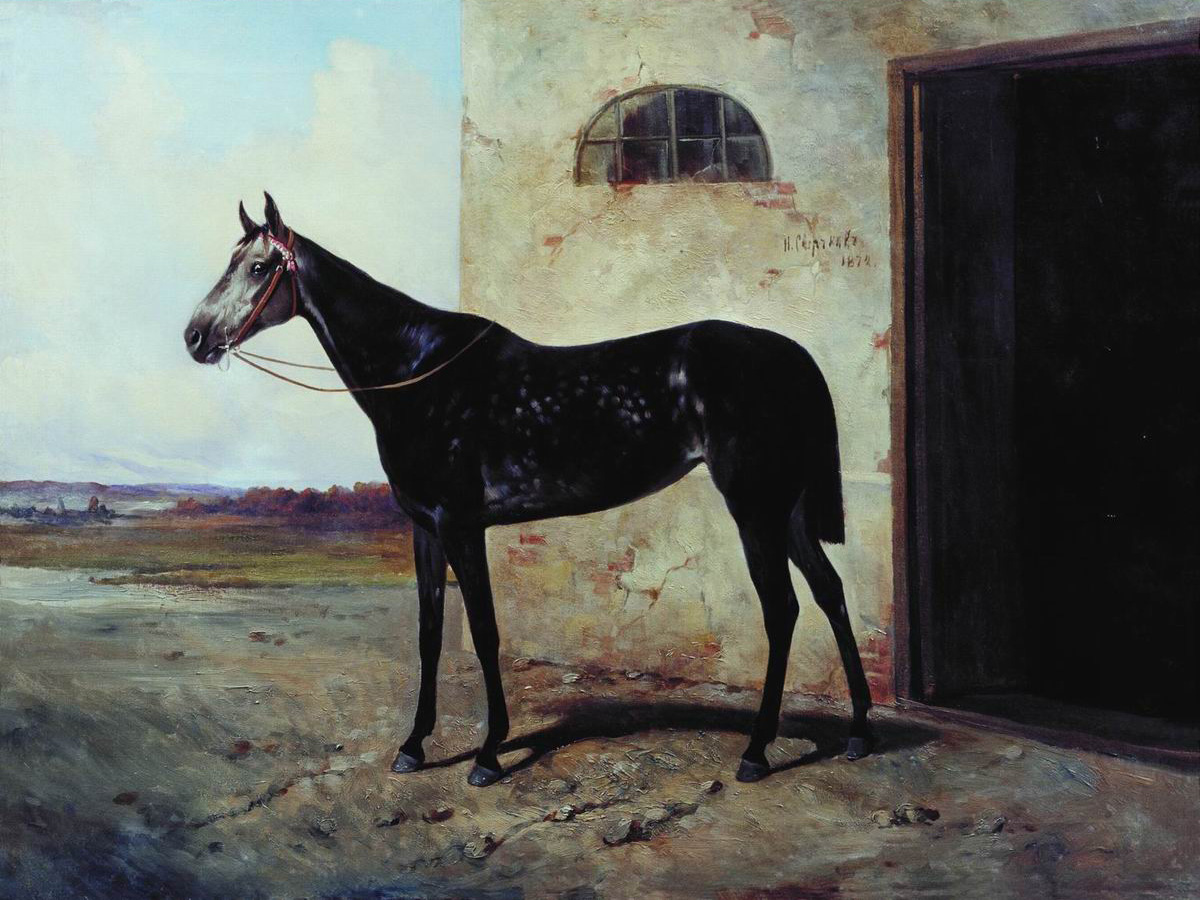 Сверчков Н.. Серая лошадь. 1872