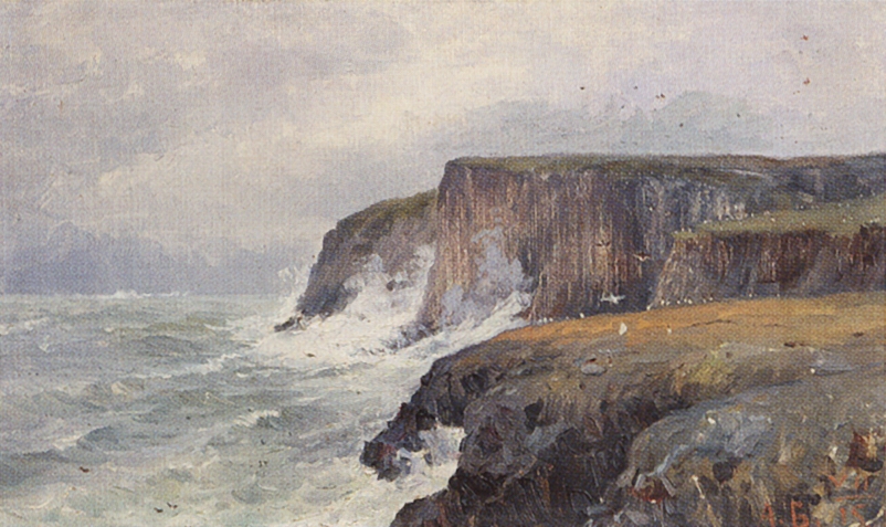 Борисов. Птичий базар на Новой Земле. 1896