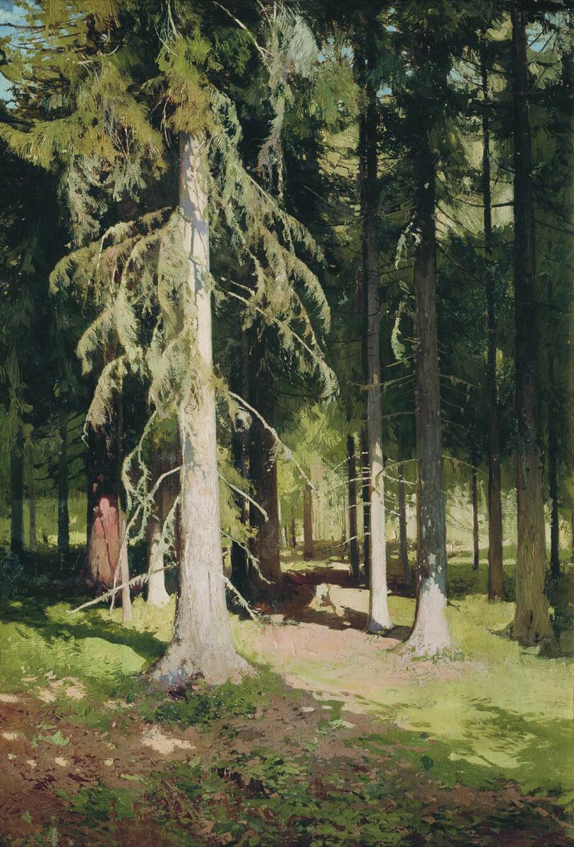Шильдер А.. В лесу. 1900-е
