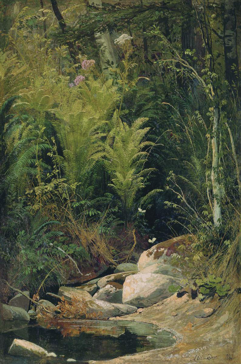 Шильдер А.. Лесной уголок. 1886