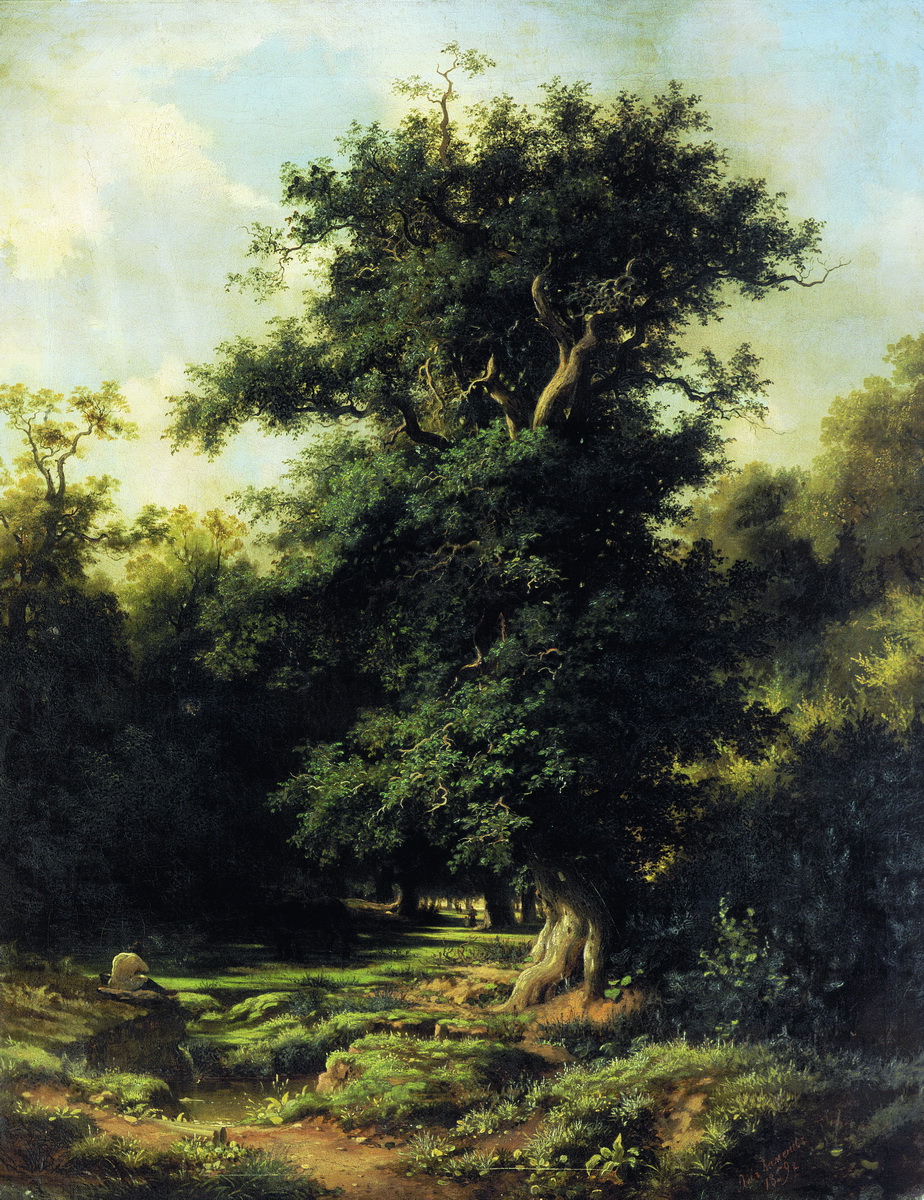 Каменев Л.. Старый дуб. 1859
